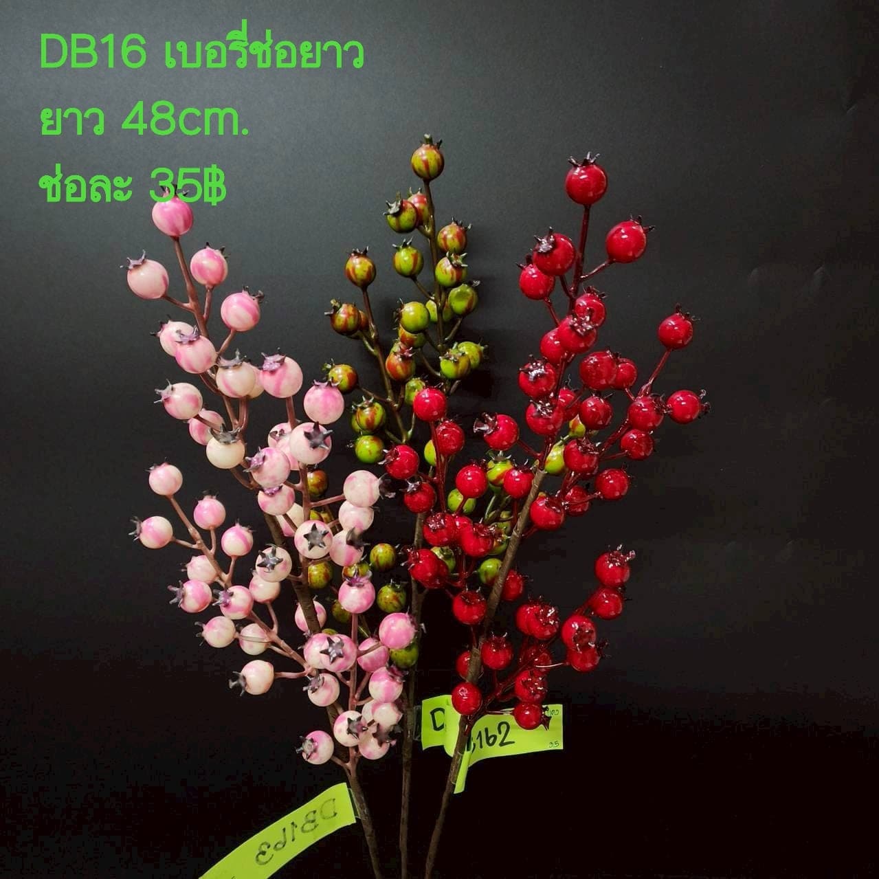 เบอรี่ช่อยาว (DB16), เบอร์รี่ — ผลกลมเรียงเป็นกระจุก ให้โทนอบอุ่นในฤดูใบไม้ร่วง