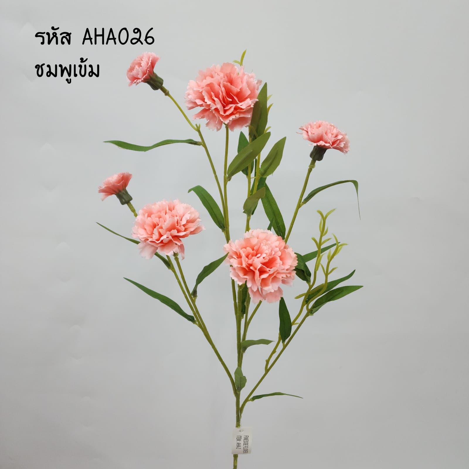 สเปร์ยคาเนชั่น (AHA02), คาร์เนชั่น — กลีบหยักริ้วเรียงเป็นทรงกลมเก็บฟอร์มได้นาน