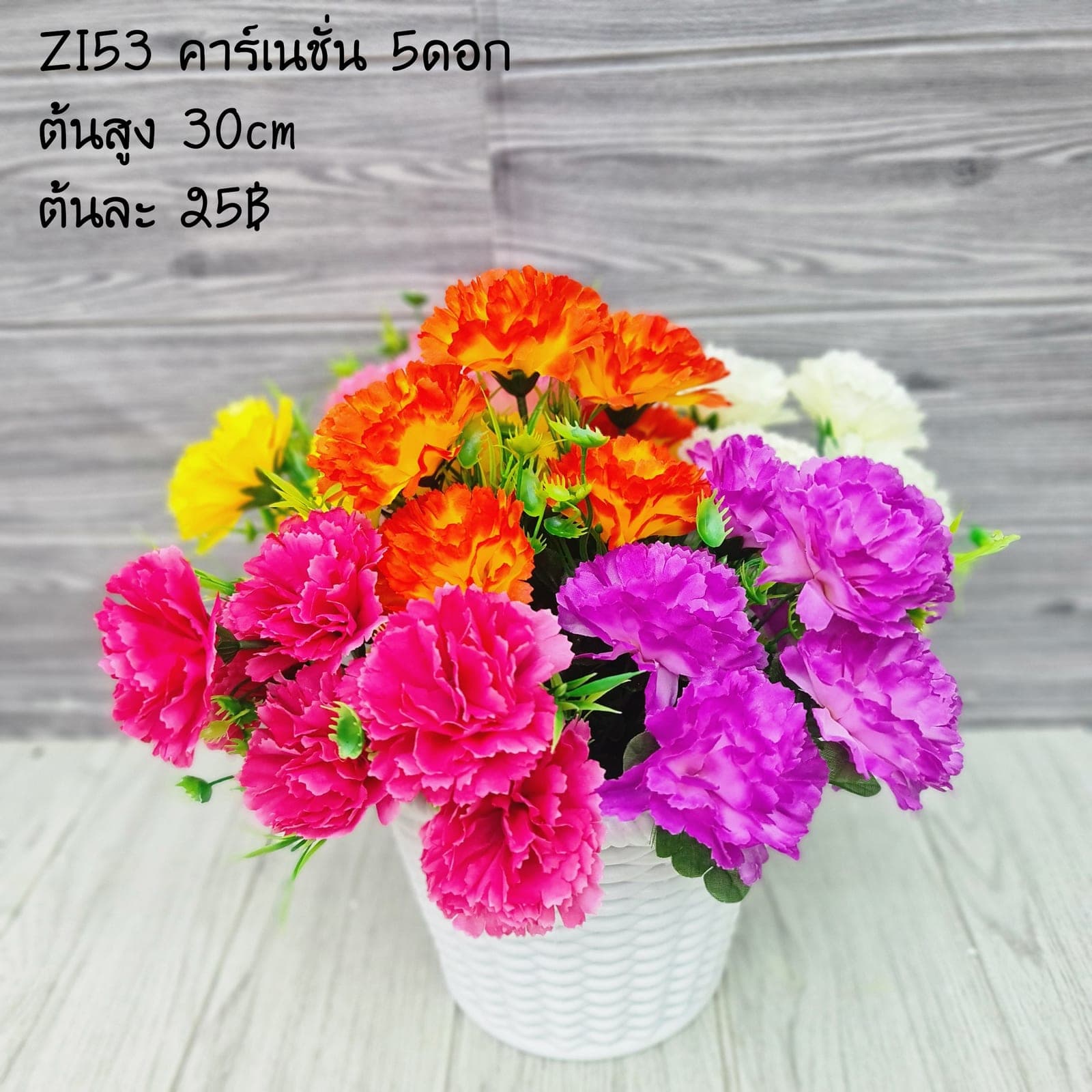 คาร์เนชั่น (ZI53), คาร์เนชั่น — ดอกฟอร์มแน่น สีไล่นุ่ม เก็บฟอร์มได้นานในแจกัน
