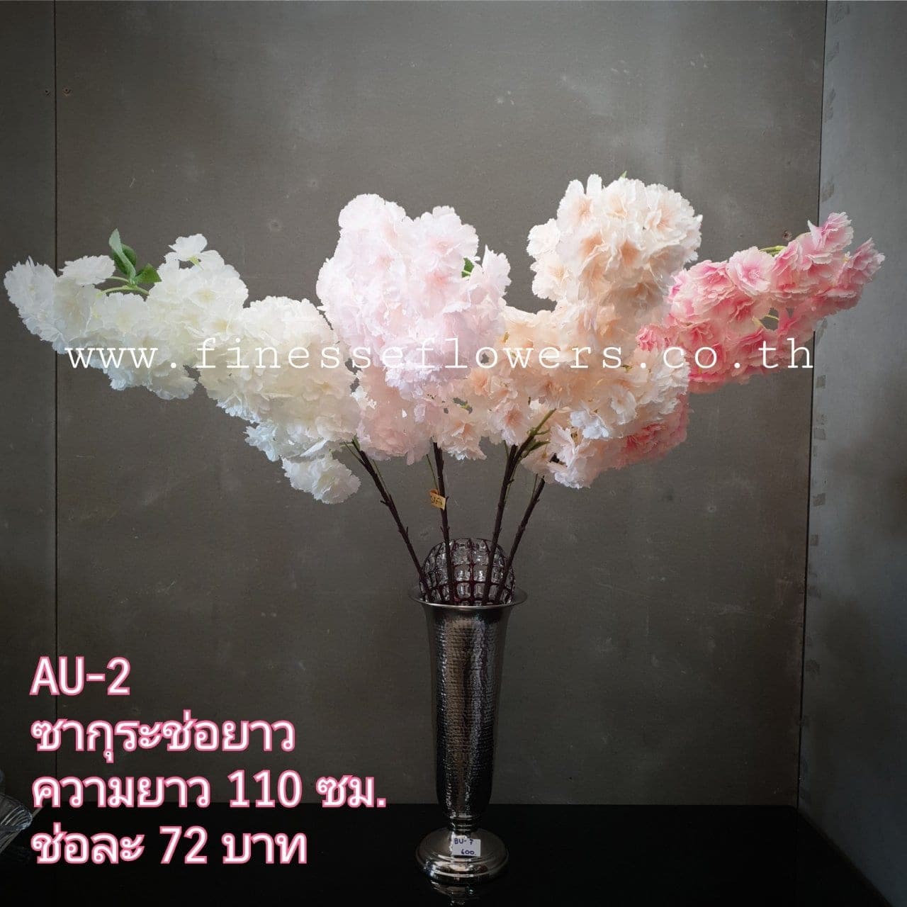 ซากุระช่อยาว (AU02), Cherry blossom — small blossoms scattered along an arching branch.