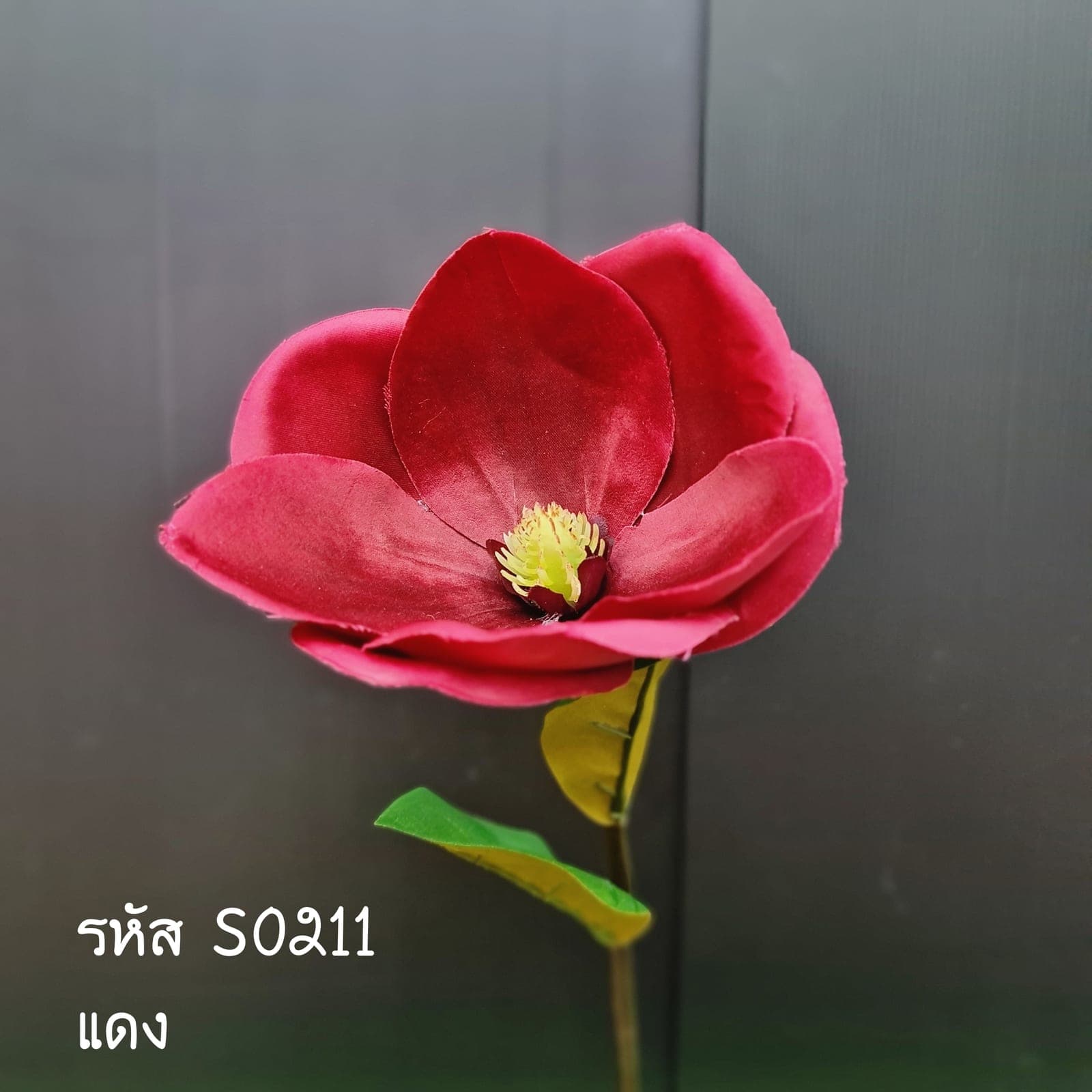 แมกโนเลีย (SO21), แมกโนเลีย — กลีบใหญ่และก้านไม้เนื้อแข็ง ให้น้ำหนักประติมากรรม