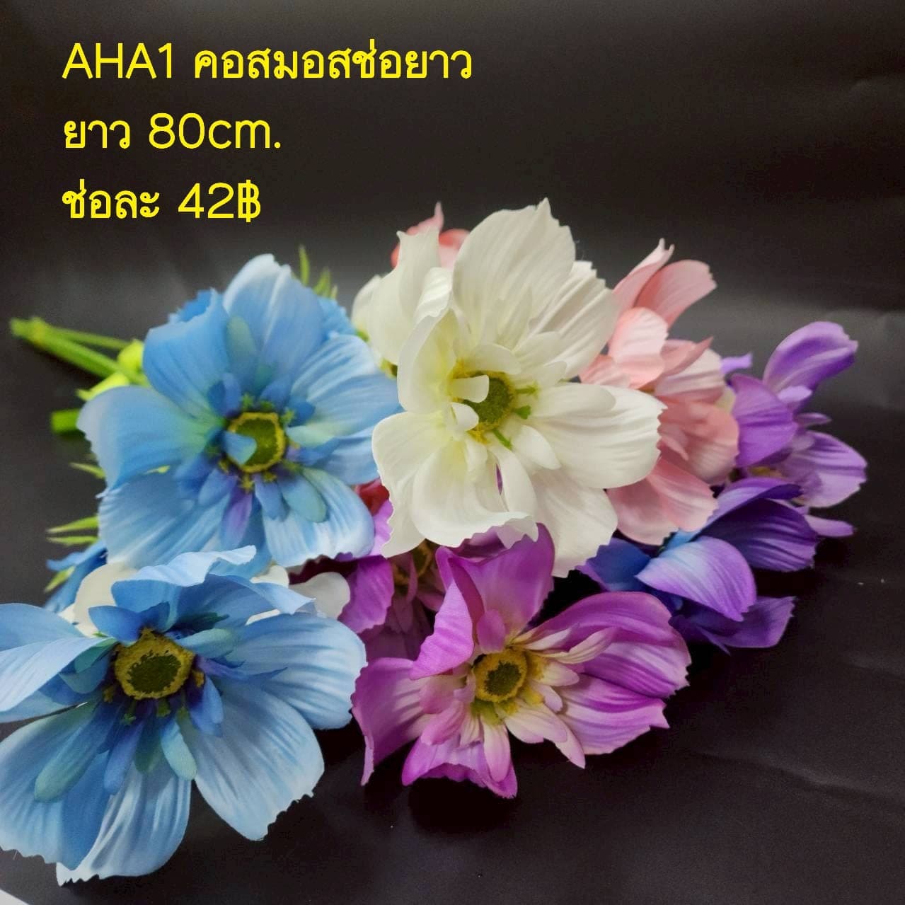 คอสมอสช่อยาว (AHA01), คอสมอส — กลีบบางและก้านสูง โบกตามลมให้อารมณ์ทุ่งหญ้า