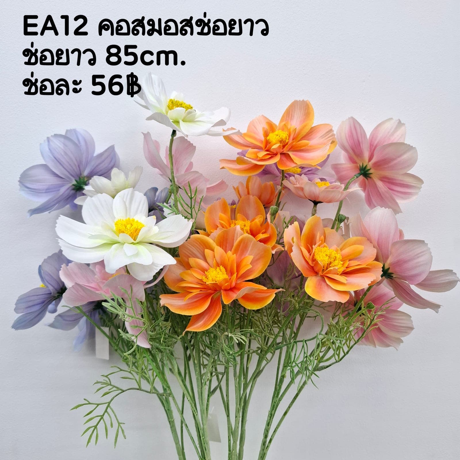 คอสมอสช่อยาว (EA12), คอสมอส — กลีบบางและก้านสูง โบกตามลมให้อารมณ์ทุ่งหญ้า