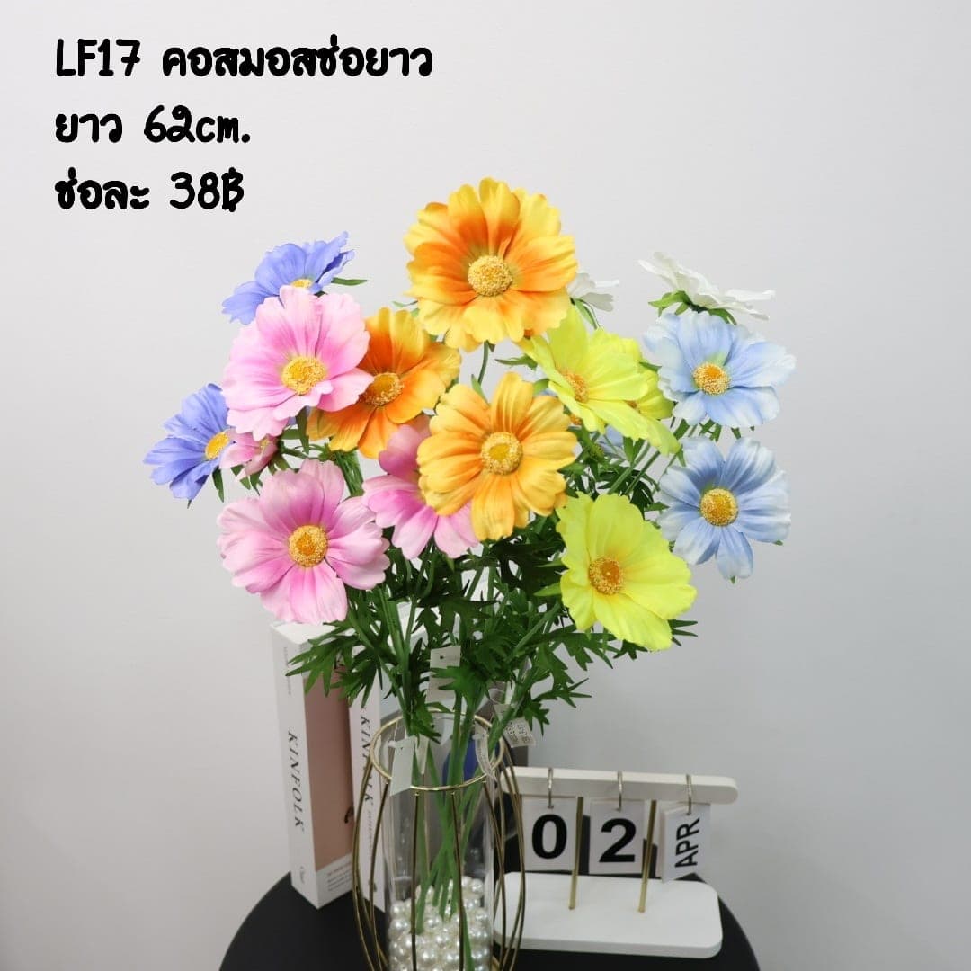 คอสมอสช่อยาว (LF17), คอสมอส — กลีบบางและก้านสูง โบกตามลมให้อารมณ์ทุ่งหญ้า
