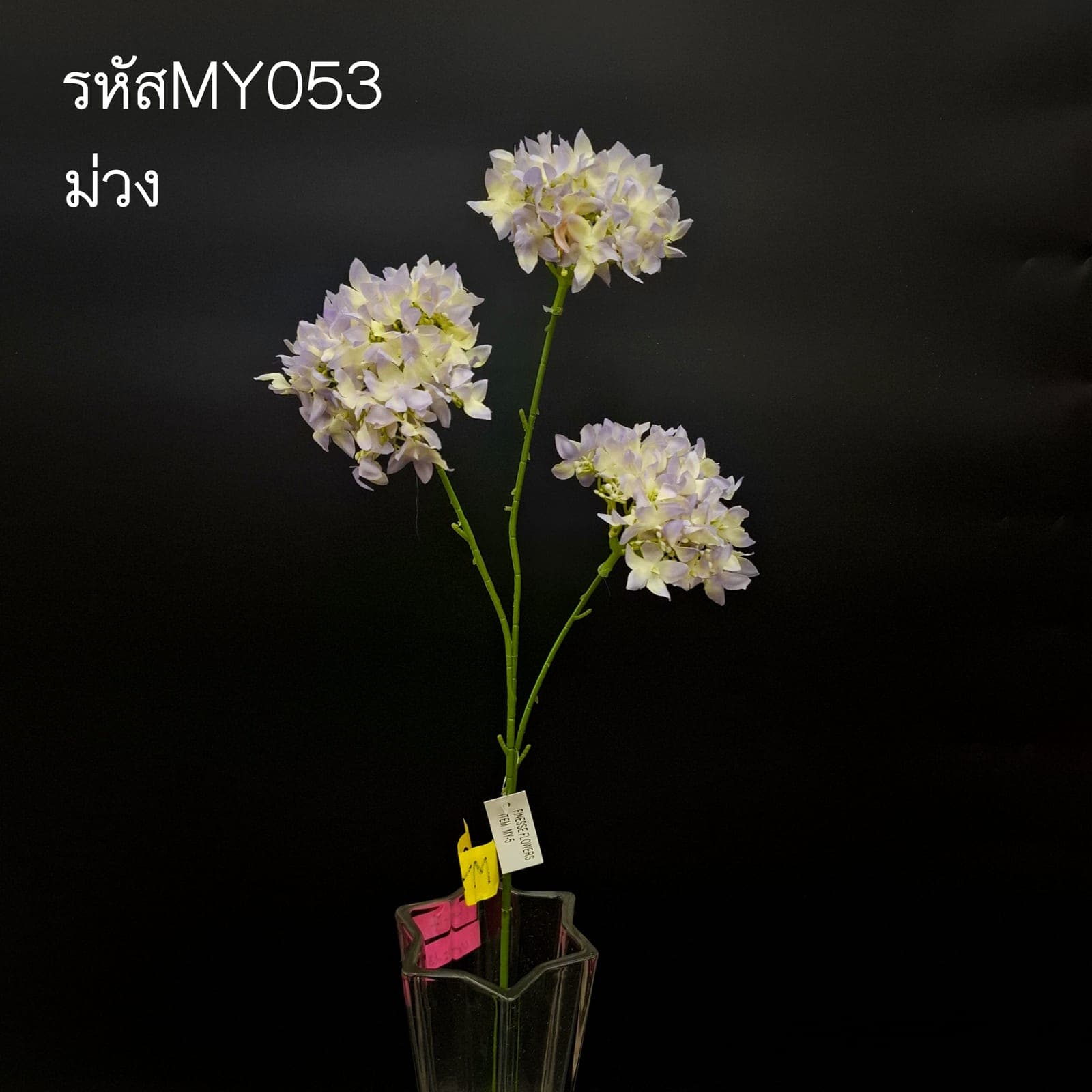 ไลแลค (MY05), ไลแลค — ช่อแน่นของดอกเล็ก ให้พื้นผิวคล้ายเมฆในองค์ประกอบ