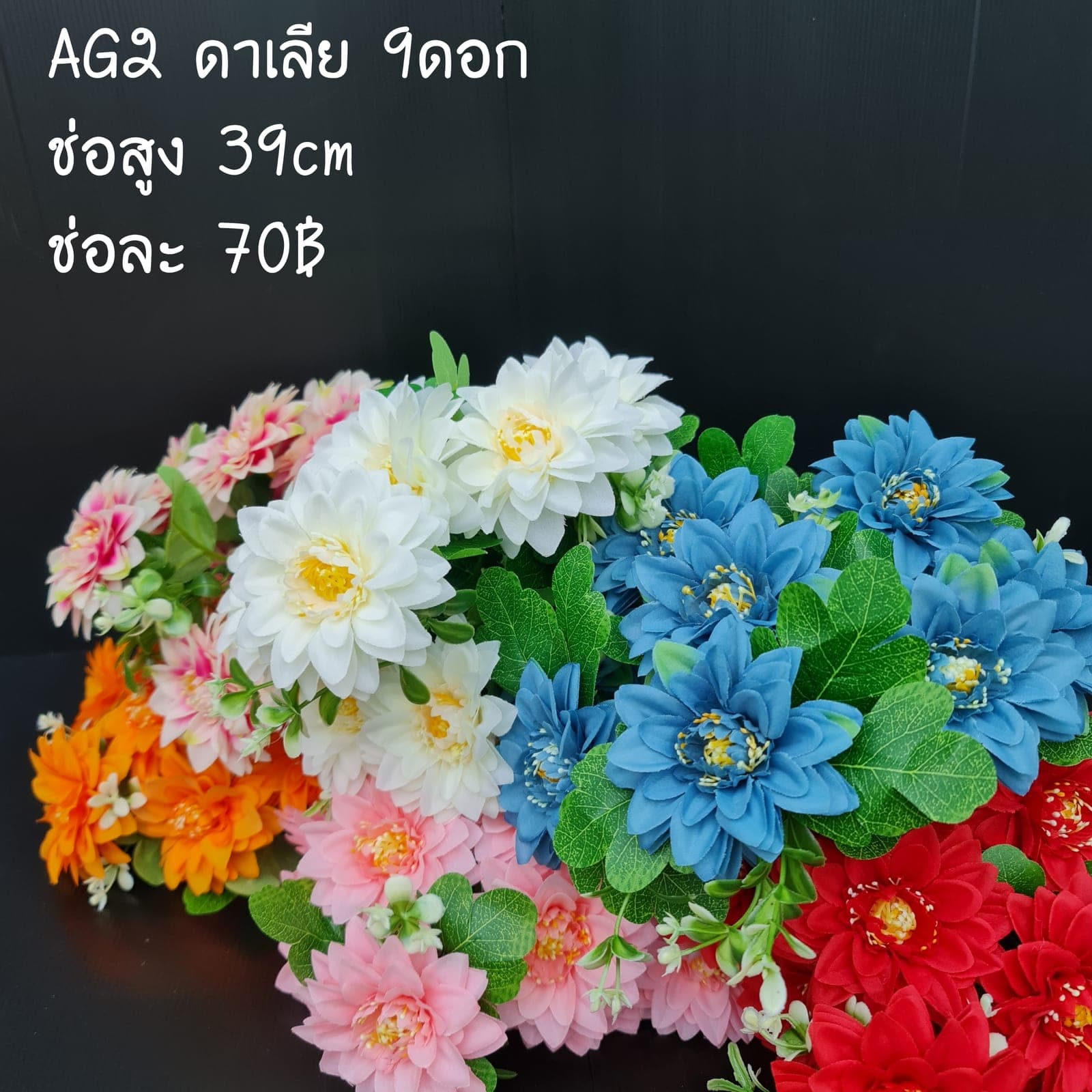 ดาเลีย 7ดอก (AG2), ดาเลีย 7 ดอก — กลีบเรียงเป็นเกลียวสมมาตรเหมือนเรขาคณิต