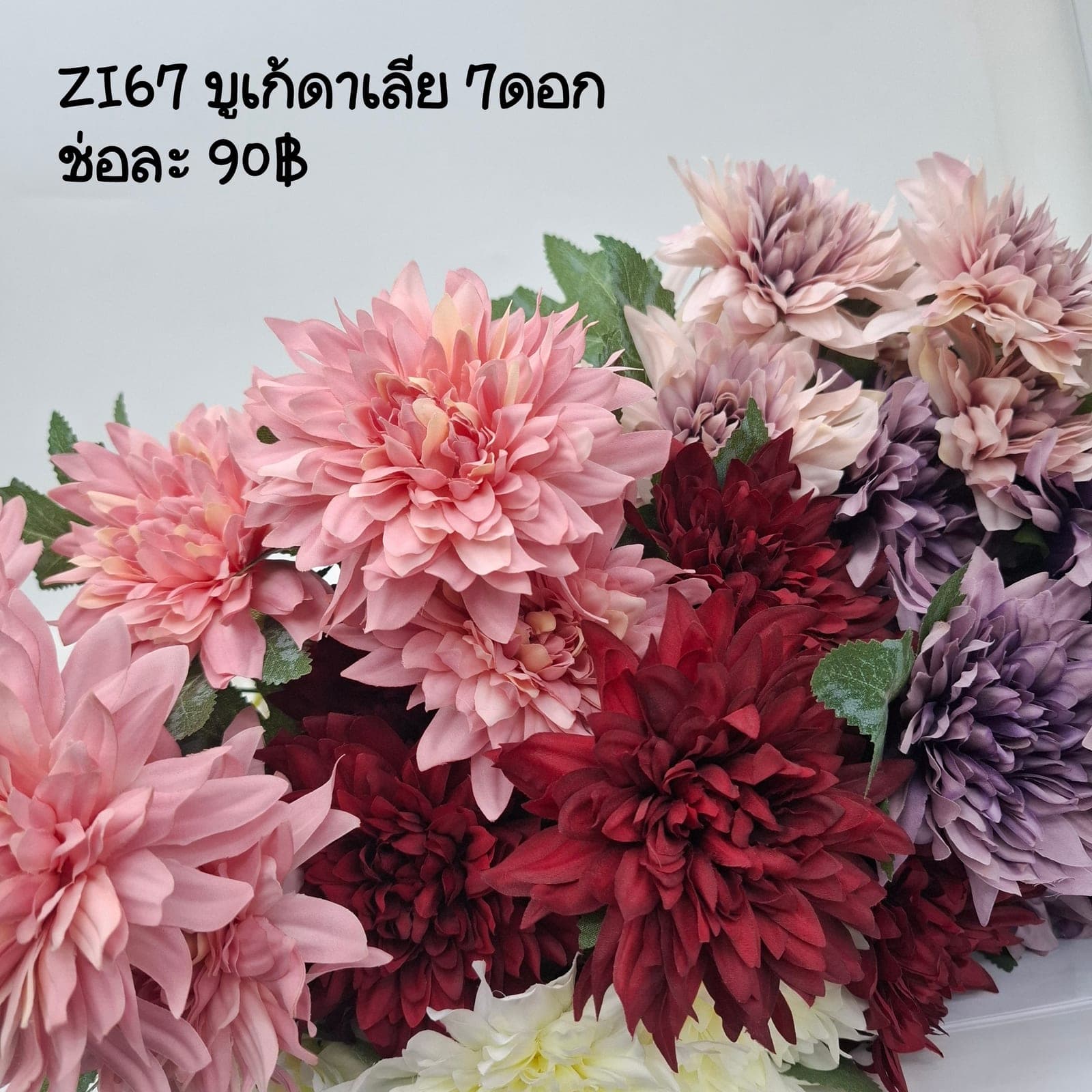 บูเก้ดาเลีย (ZI67), บูเก้ดาเลีย — กลีบเรียงเป็นเกลียวสมมาตรเหมือนเรขาคณิต