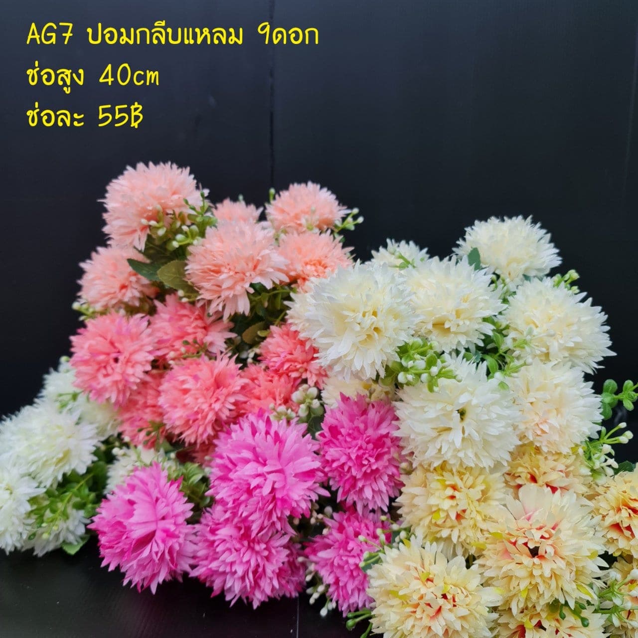 ปอมกลีบแหลม (AG7), เดซี่ — ดอกเล็กเป็นมิตร ใช้แทรกจังหวะให้ช่อดูเบาขึ้น
