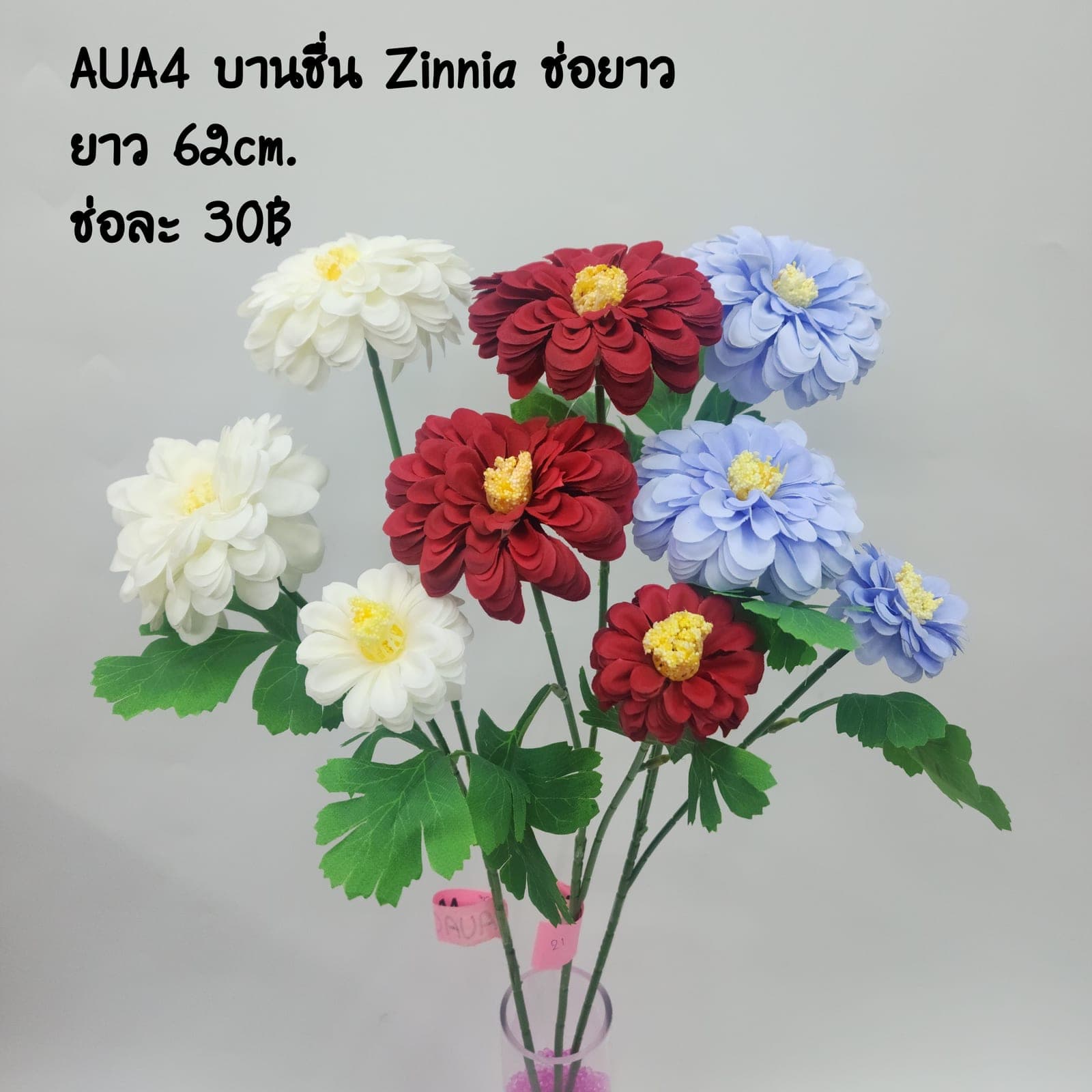 บานชื่น (AUA04), Daisy — a friendly, small-headed bloom that lightens the rhythm of a spray.