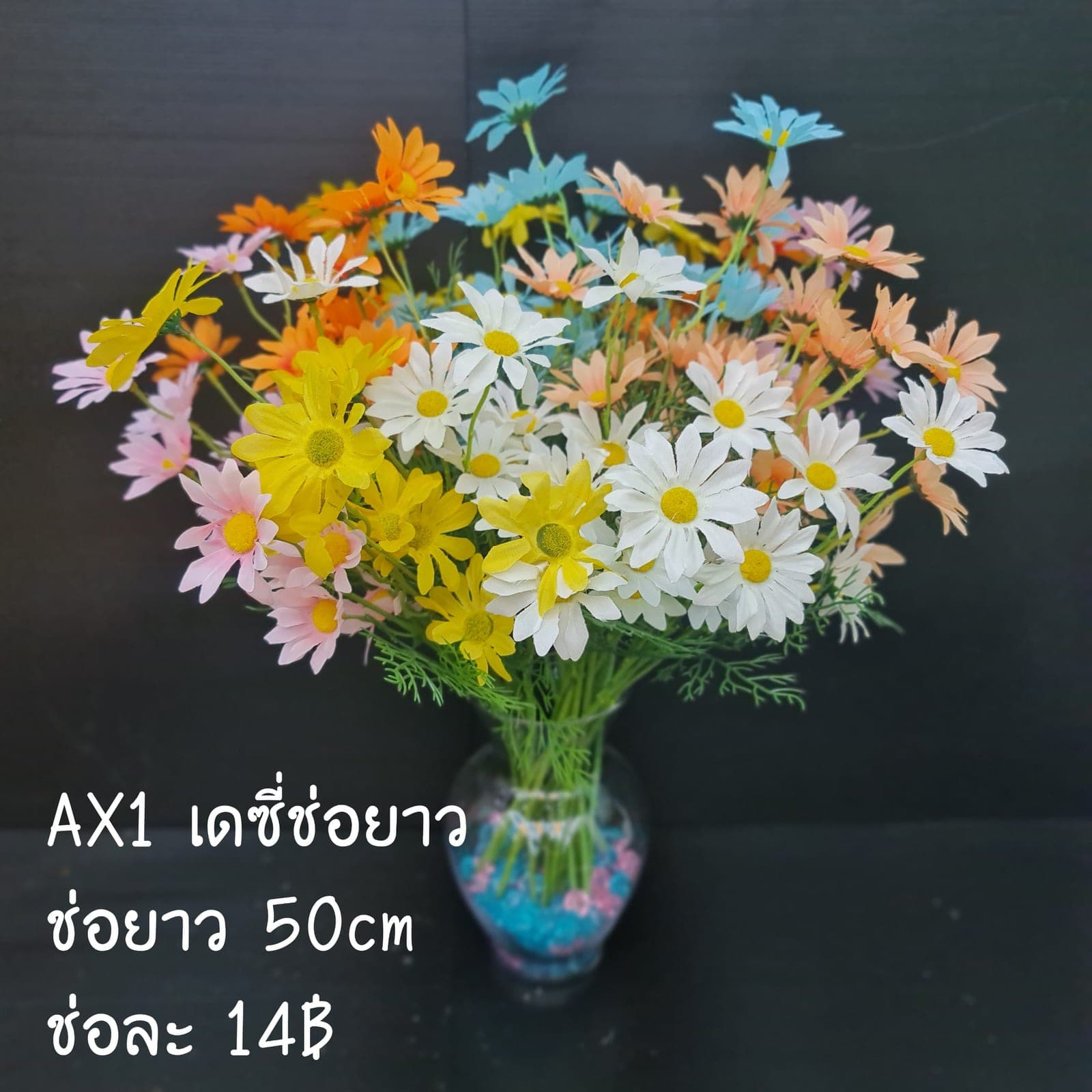 เดซี่ช่อยาว (AX1), Daisy — fine white petals around a yellow eye for an unfussy, friendly bloom.
