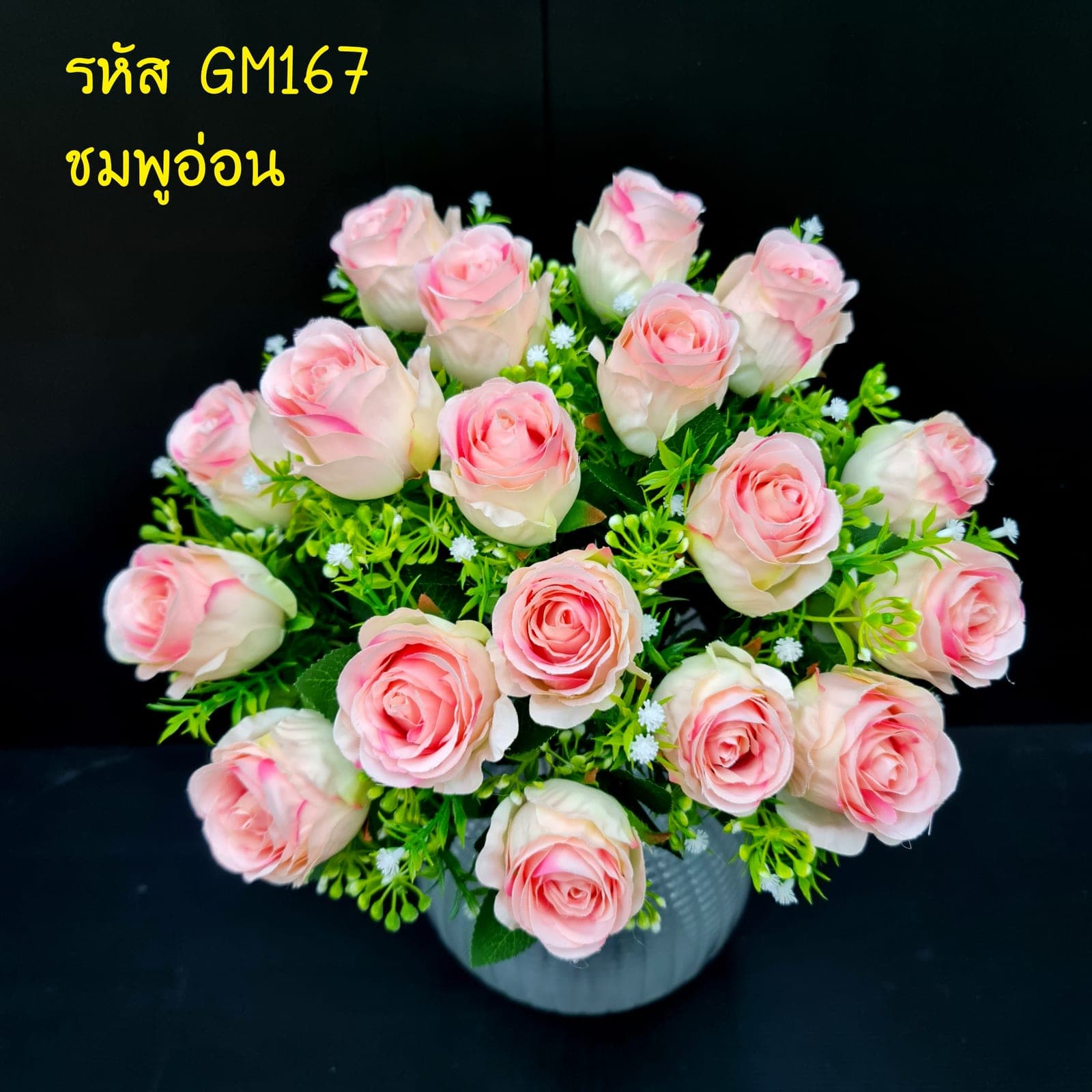 กุหลาบแซมยิปโซ x 18 (GM16), กุหลาบ — สีกลีบเป็นชั้นไล่โทนจากใจกลางสู่ขอบนอก
