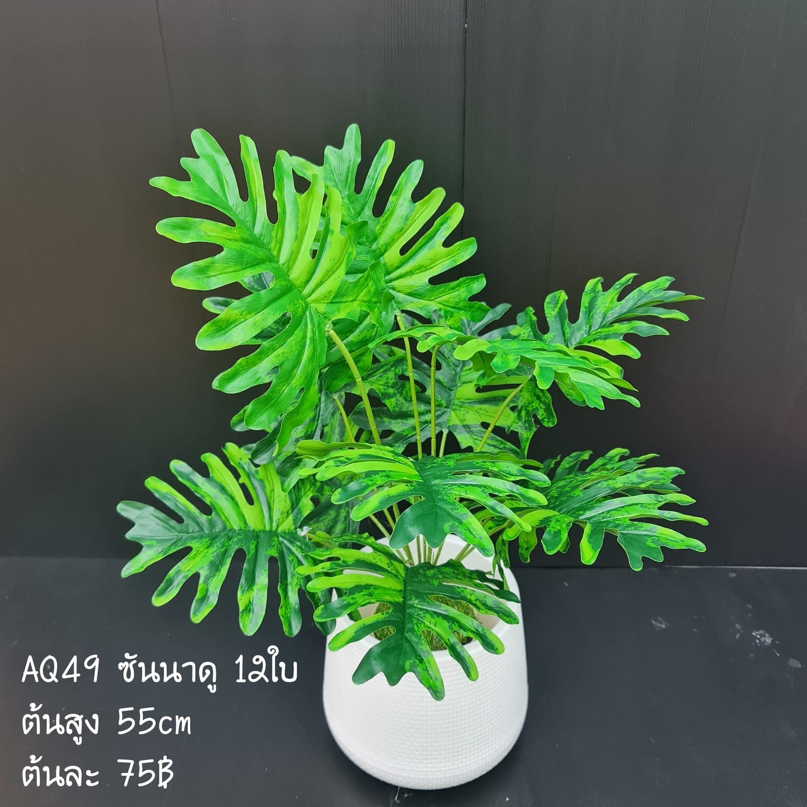 ซันนาดู 12ใบ (AQ49), ใบไม้ 12 ใบ — ใบให้น้ำหนักและพื้นผิว เหมาะสำหรับห่มขอบแจกัน