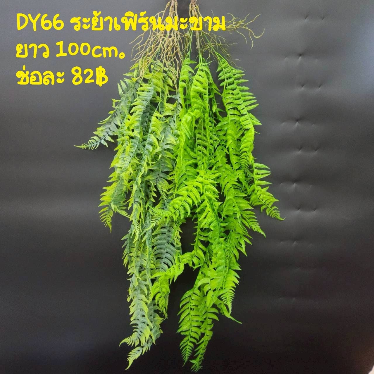 ระย้าเฟิร์นมะขาม (DY66), เฟิร์น — ก้านยาวพร้อมใบย่อยทอดตัวยาว เหมาะสำหรับการห่ม