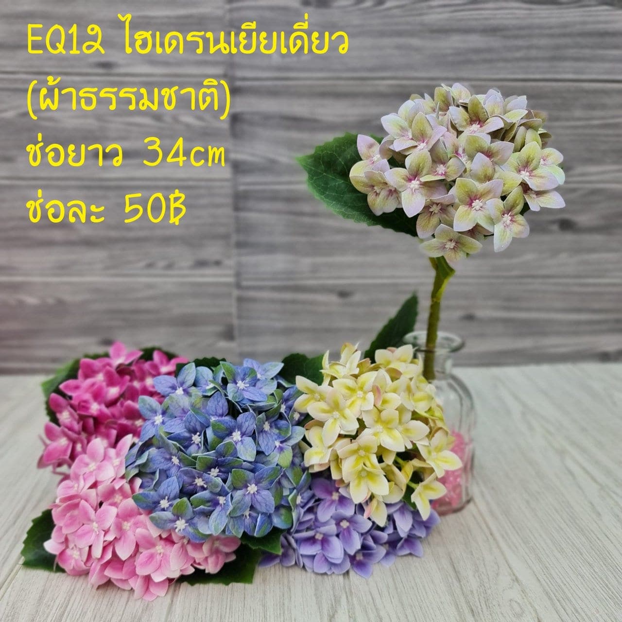 ไฮเดนเยียเดี่ยว (EQ12), ก้านเดี่ยวไฮเดรนเยีย — หัวดอกใหญ่และสีไล่โทน ใช้เป็นจุดเริ่มทรงในการจัด