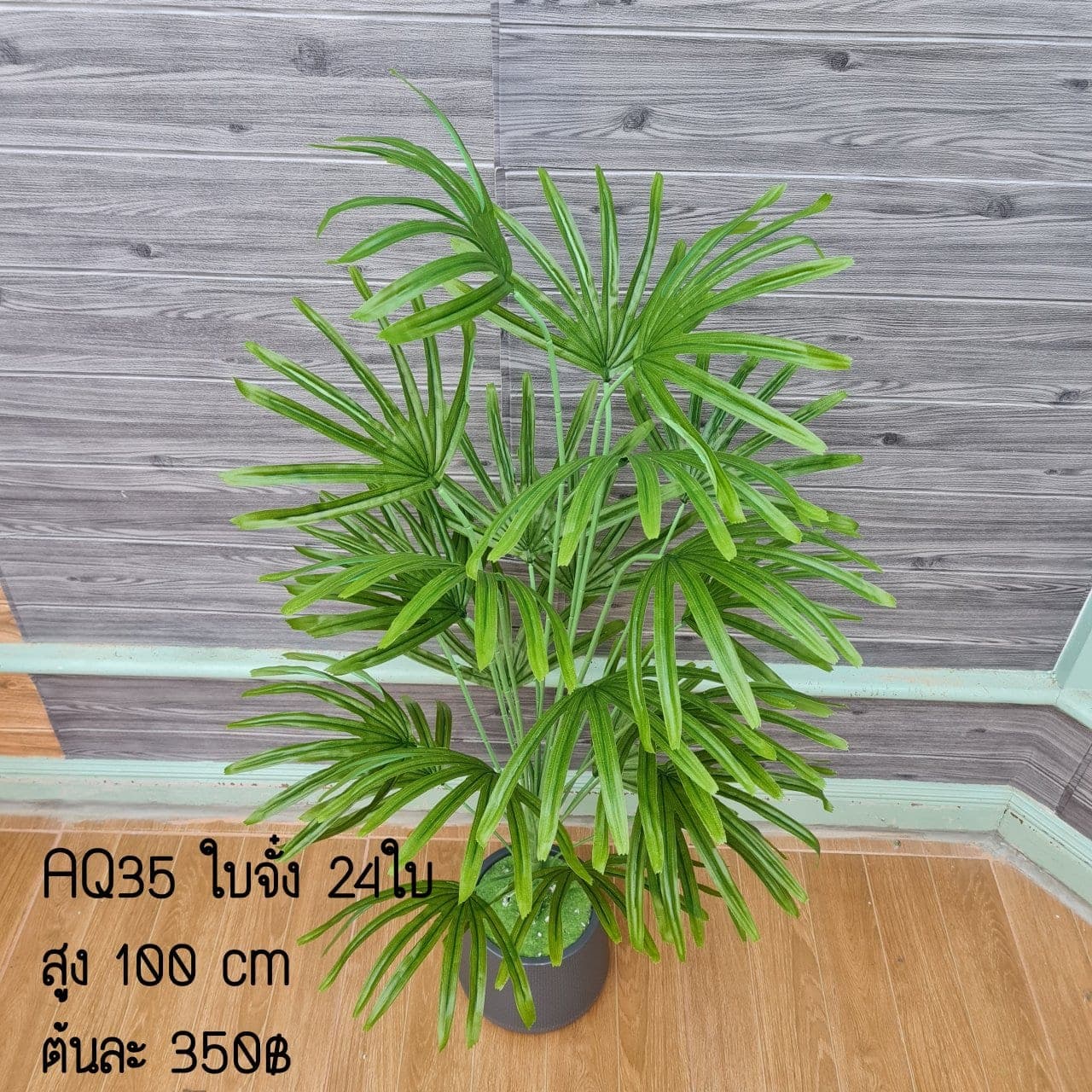 ใบจั๋ง 24ใบ (AQ35), Foliage (24 leaves) — green foliage that balances mass and grounds the focal flowers.