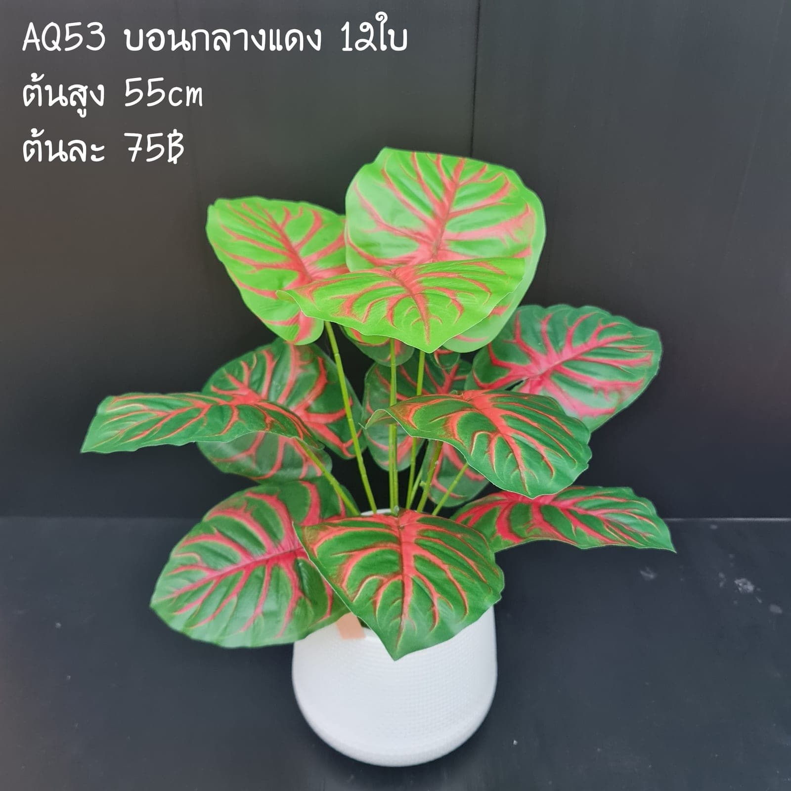 บอนกลางแดง (AQ53), ใบไม้และพืชเขียว — ใบและกิ่งสำหรับสร้างโครงและสมดุลให้ช่อดอก