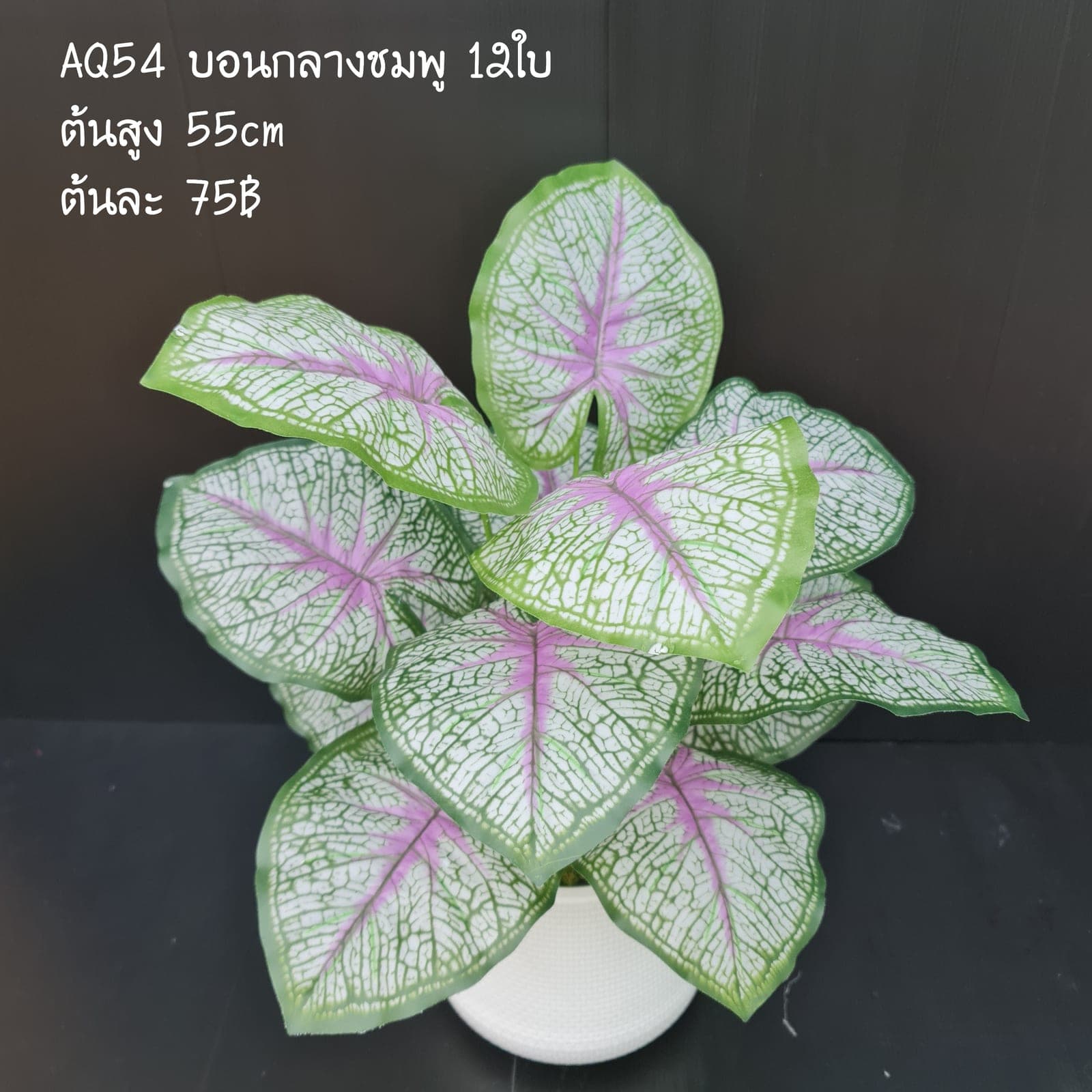 บอนกลางชมพู (AQ54), ใบไม้และพืชเขียว — ใบและกิ่งสำหรับสร้างโครงและสมดุลให้ช่อดอก