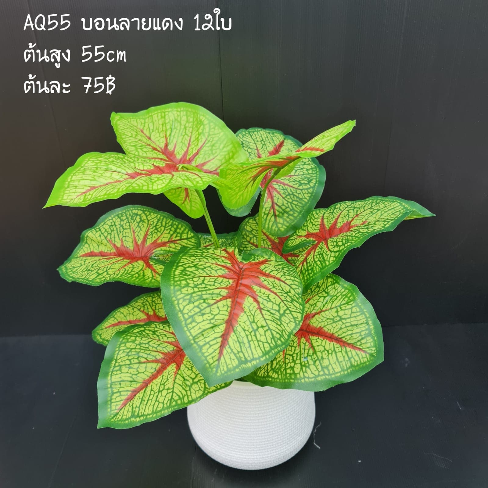 บอนลายแดง (AQ55), ใบไม้และพืชเขียว — ใบและกิ่งสำหรับสร้างโครงและสมดุลให้ช่อดอก
