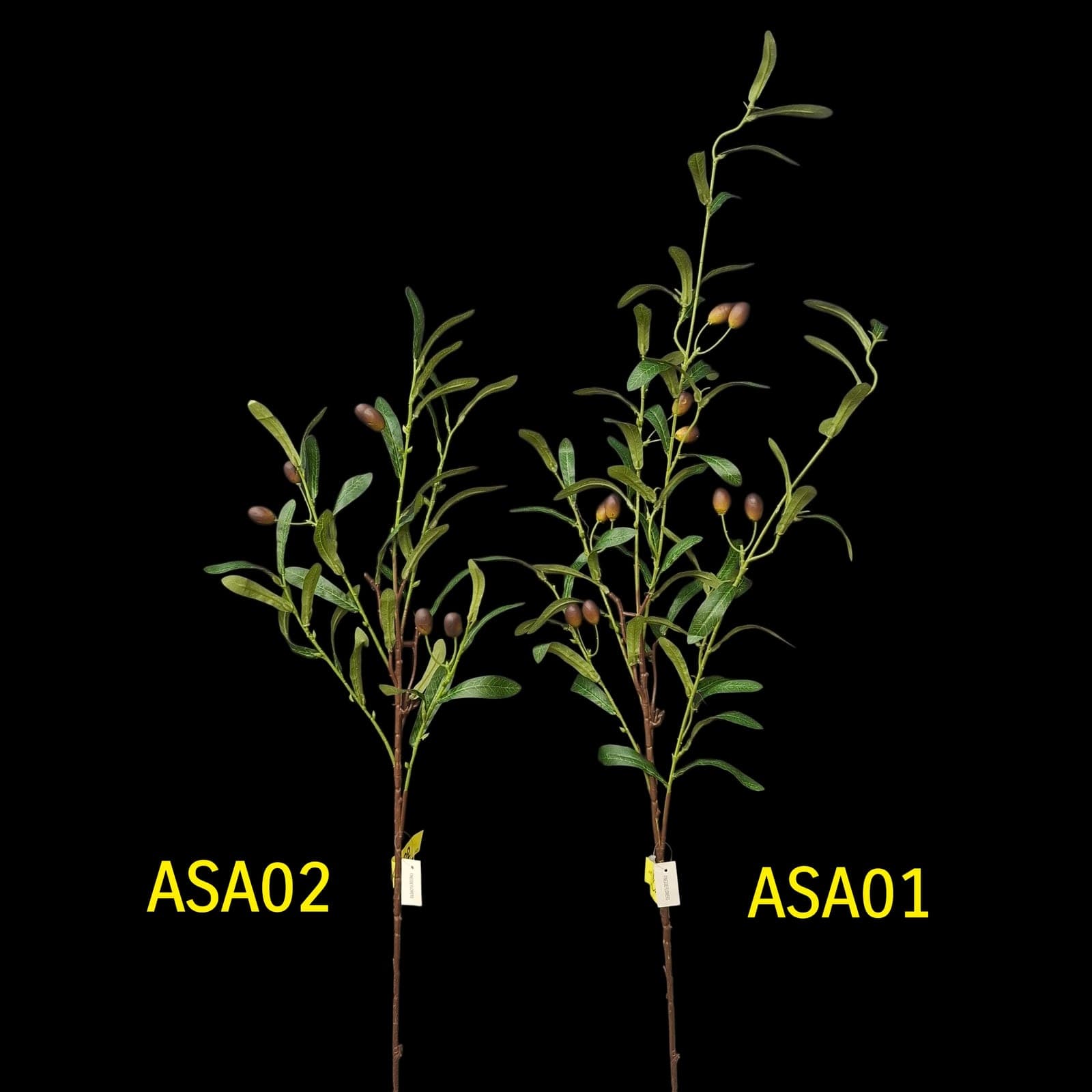 กิ่งมะกอก (ASA), กิ่งใบไม้และพืชเขียว — ใบและกิ่งสำหรับสร้างโครงและสมดุลให้ช่อดอก