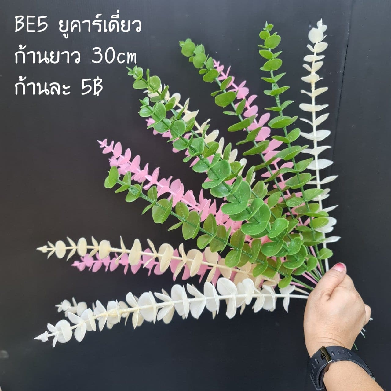 ยูคาร์เดี่ยว (BE5), ก้านเดี่ยวใบไม้และพืชเขียว — ใบและกิ่งสำหรับสร้างโครงและสมดุลให้ช่อดอก