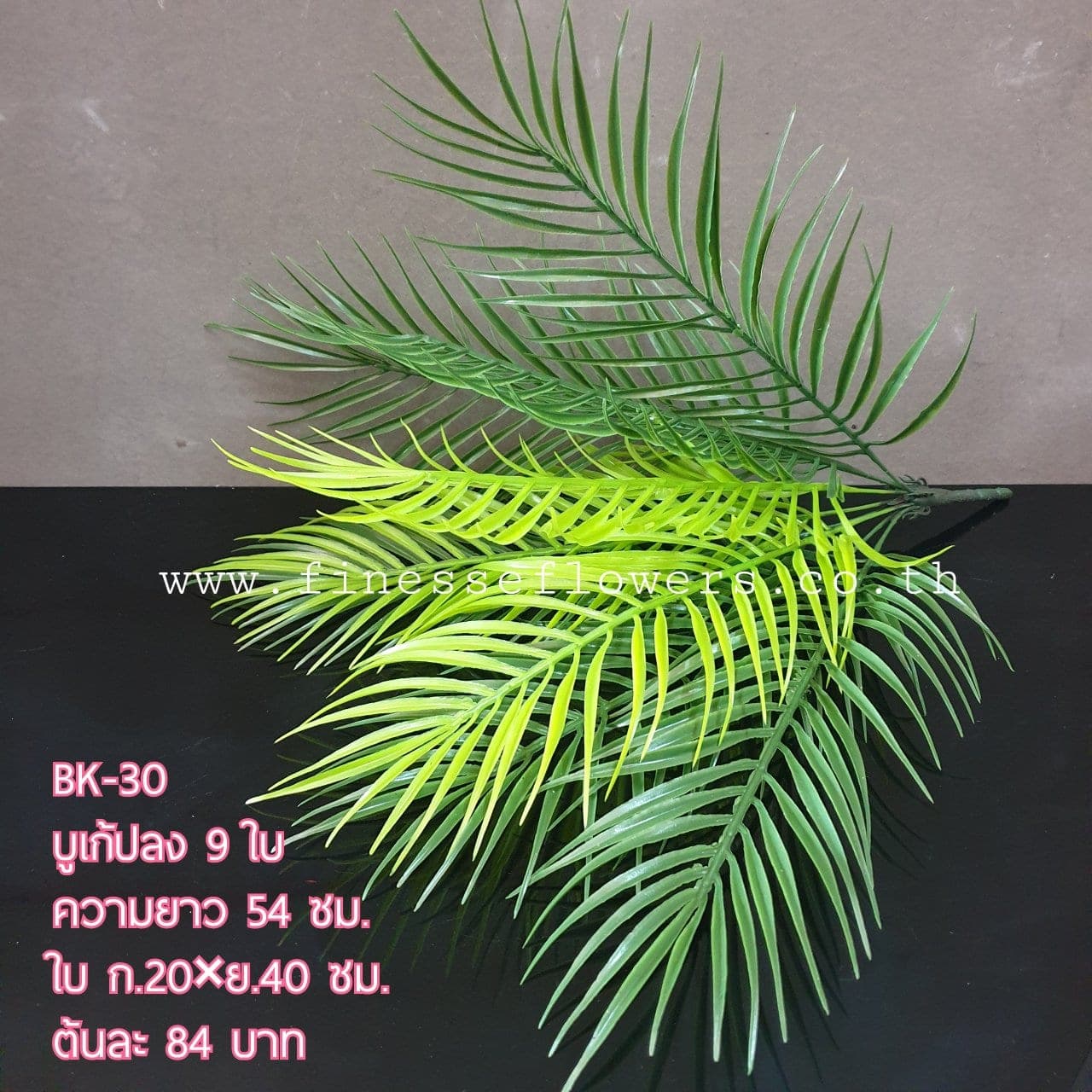 บูเก้เฟิร์น (BK30), บูเก้เฟิร์น — ใบบางและขอบหยัก ให้พื้นผิวพลิ้วและร่ม