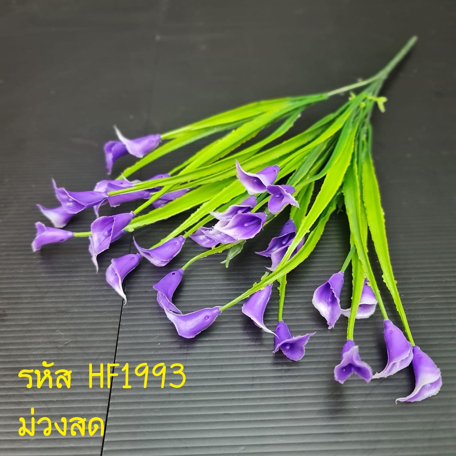 คาร่าจิ๋ว (HF199), ลิลลี่ — เส้นสายคมและฟอร์มทรงแตร ใช้เป็นจุดเด่นได้ทันที