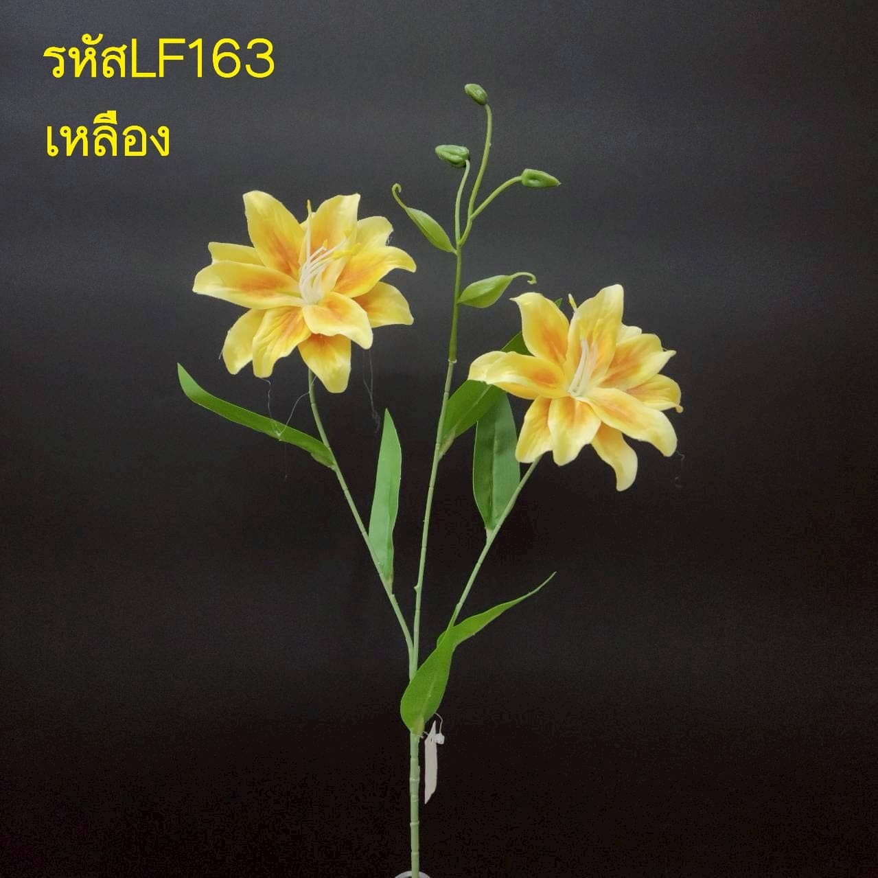 ลิลลี่ซ้อน 2ดอก (LF16), ลิลลี่ 2 ดอก — กลีบโค้งและเกสรยาวให้เส้นสายเฉียบคม