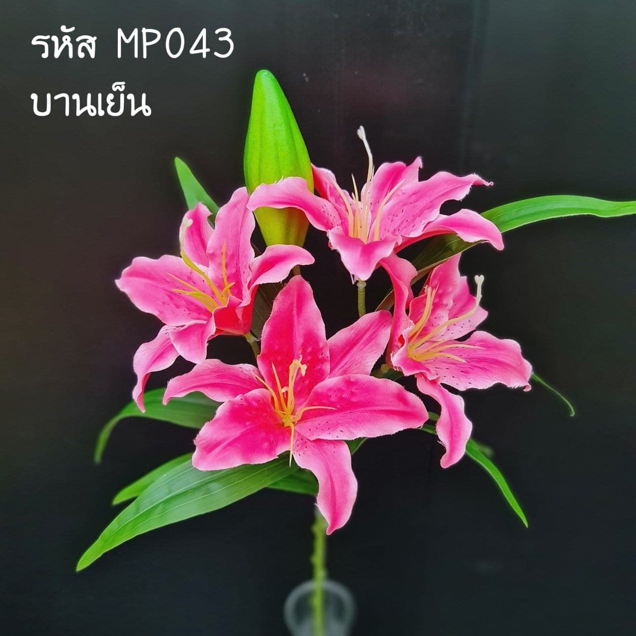 ลิลลี่ (MP4), Lily — trumpet-form flowers built to anchor a tall vessel as a single focal point.