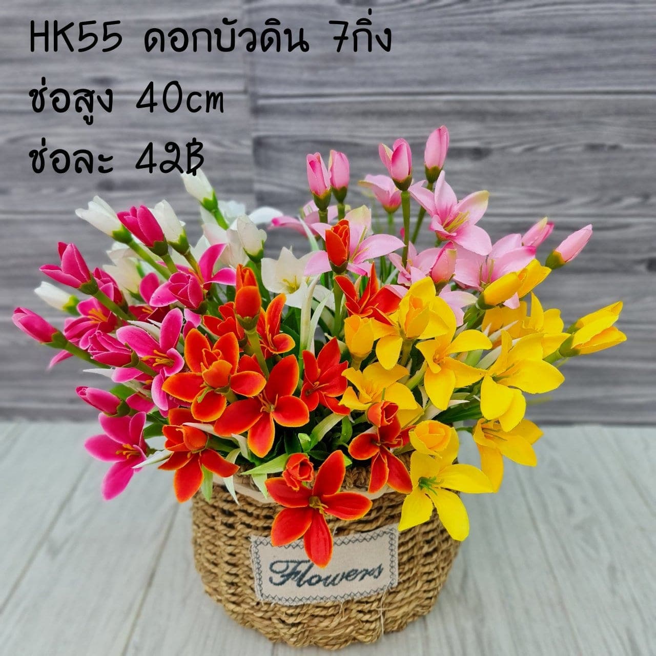 บัวดิน (HK55), บัว — ฟอร์มเปิดและกลีบนุ่ม ให้จังหวะนิ่งและสมดุล