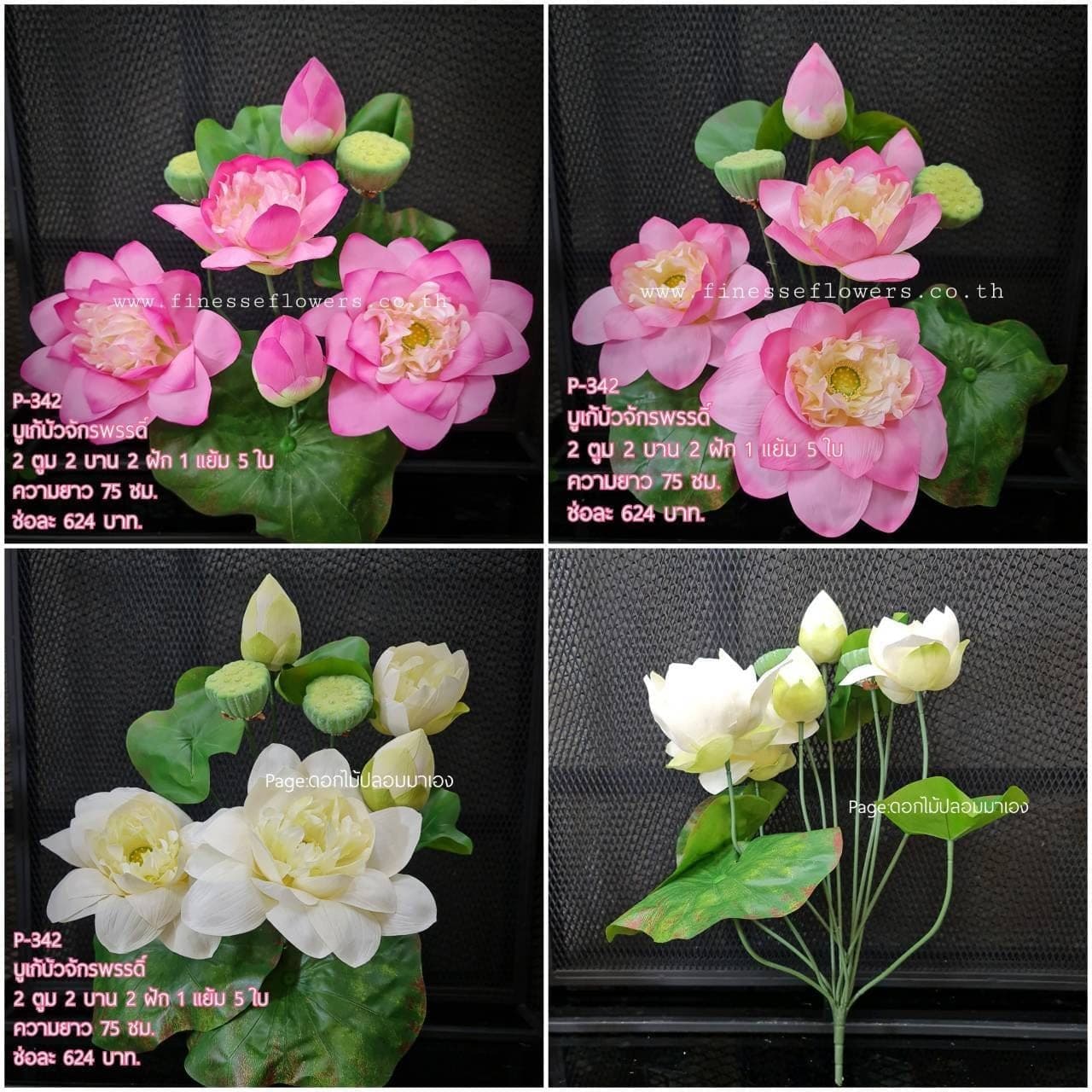 บัวจักรพรรดิ์ (P-342), บัว — ฟอร์มเปิดและกลีบนุ่ม ให้จังหวะนิ่งและสมดุล