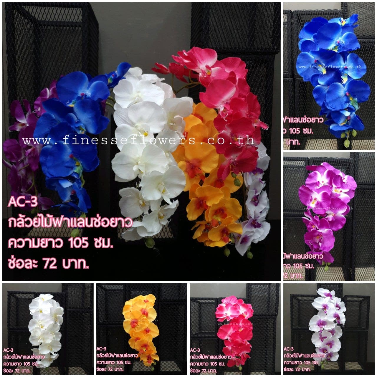 ฟาแลน (AC03), ฟาแลนนอปซิส — ดอกเรียงตามก้านโค้งให้สมดุลแบบสถาปัตยกรรม