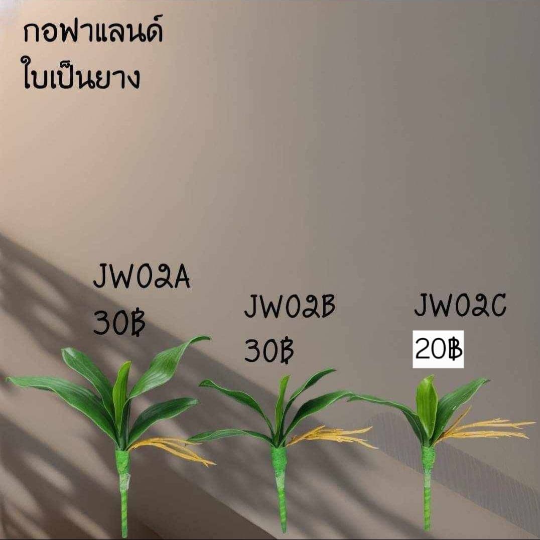 กอฟาแลนด์ (JW2), ฟาแลนนอปซิส — กลีบหนาคล้ายขี้ผึ้ง วางเส้นสายให้ลอยและสะอาด
