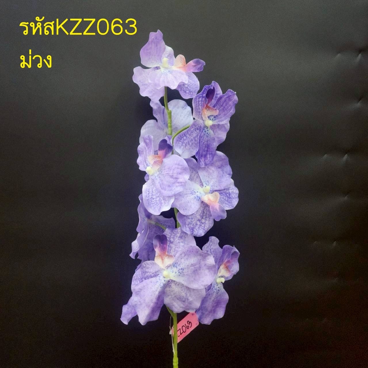 กล้วยไม้ฟ้ามุ่ย 9ดอก (KZZ6), กล้วยไม้ 9 ดอก — เส้นโค้งของช่อและกลีบบาง ให้องค์ประกอบลอยและสะอาด