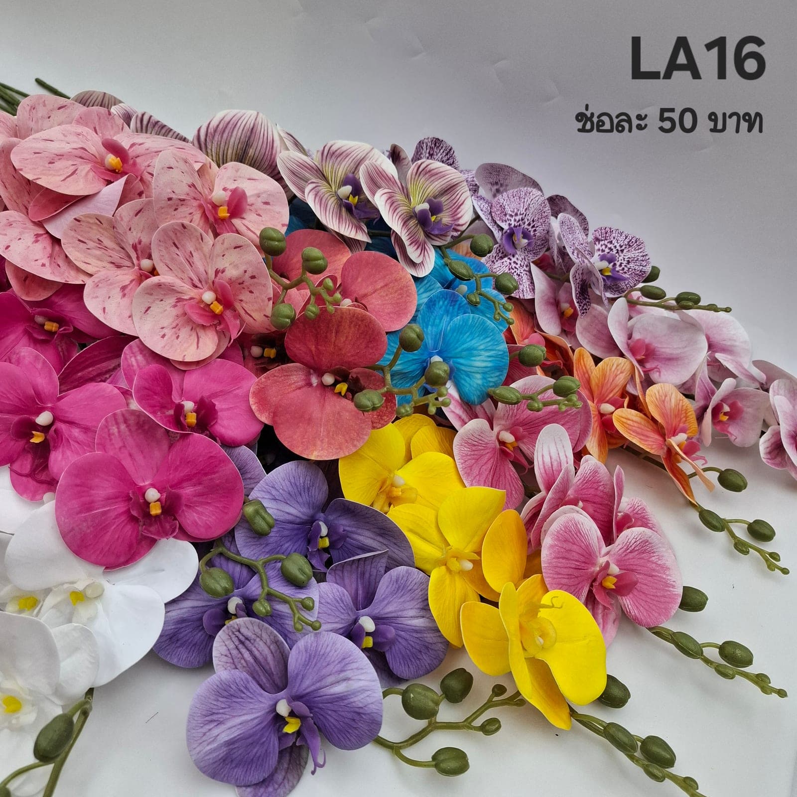 ฟาแลนด์9ดอก (LA16), ฟาแลนนอปซิส 9 ดอก — กลีบหนาคล้ายขี้ผึ้ง วางเส้นสายให้ลอยและสะอาด