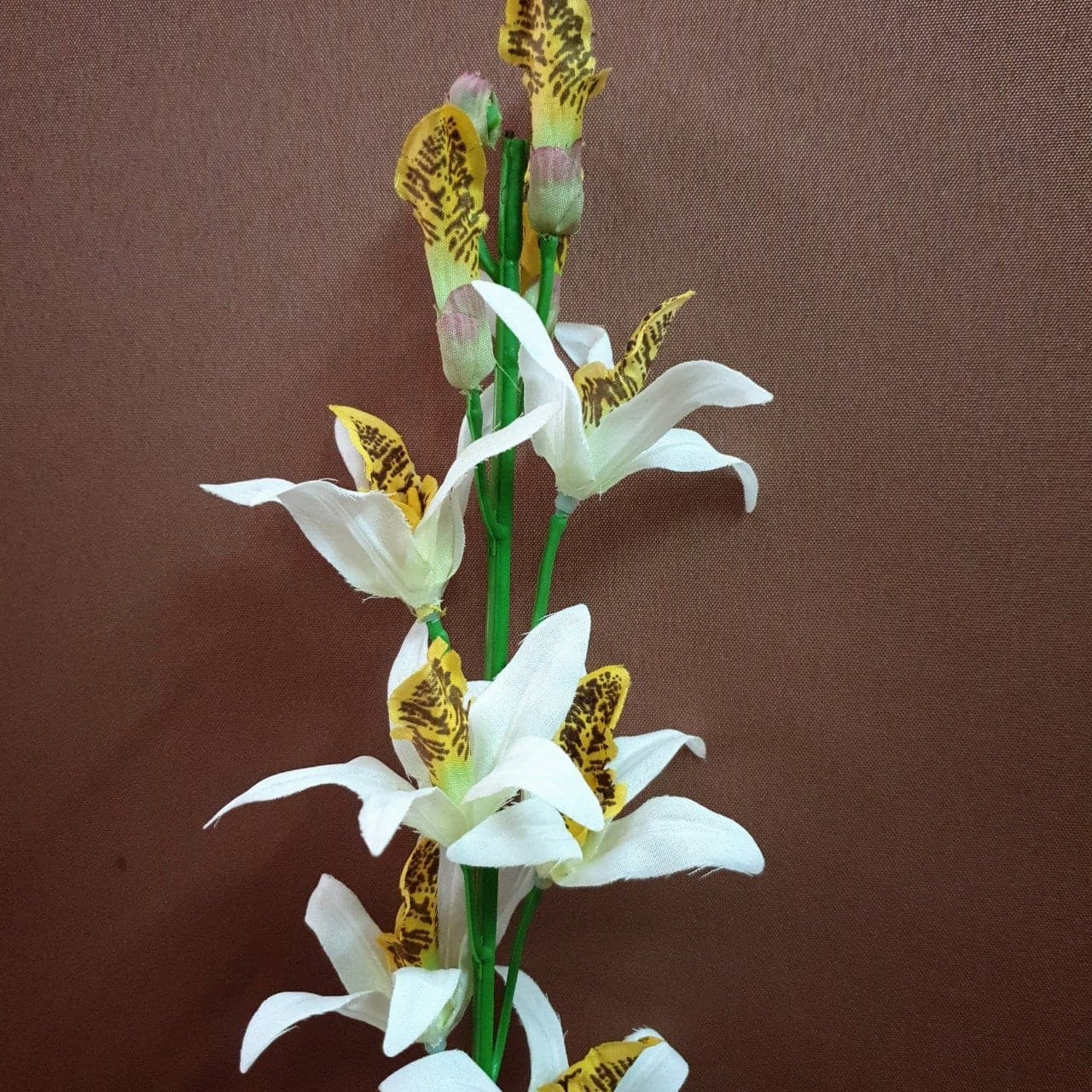กล้วยไม้หวายช่อ (P159), Orchid — an arched spray with wax-thin petals for floating, architectural lines.
