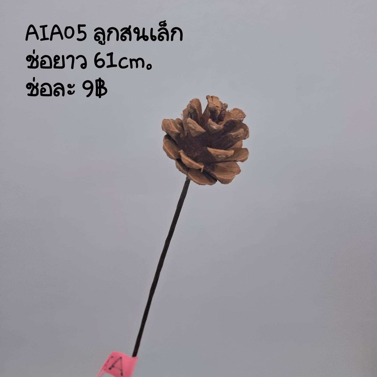 AIA05 (AIA05), ชิ้นส่วนสไตล์ลิ่ง — องค์ประกอบเสริมเพื่อจัดบรรยากาศและองค์ประกอบโดยรวม