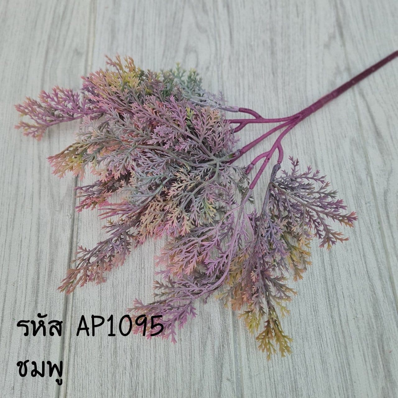 สนแผง (AP109), ต้นไม้กระถาง — ฟอร์มสมบูรณ์พร้อมจัดวางในกระถางหรือมุมห้อง