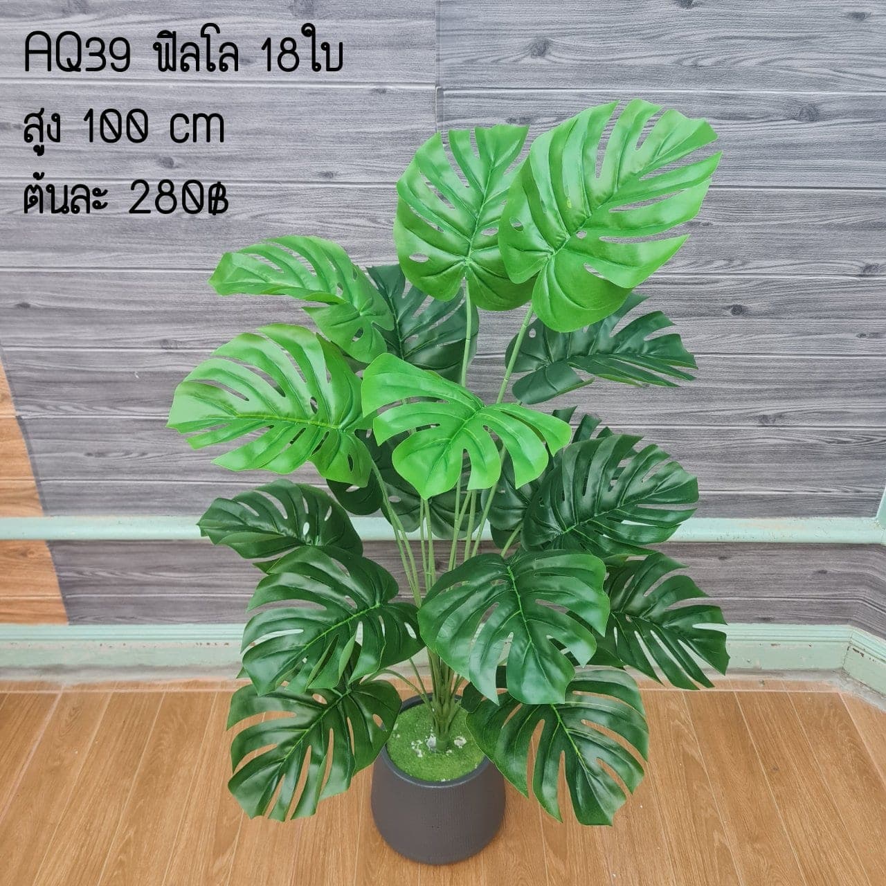ฟิลโล 18ใบ (AQ39), ใบไม้ 18 ใบ — ใบเขียวสำหรับเสริมความสมดุลและเป็นพื้นหลังให้ดอกหลัก