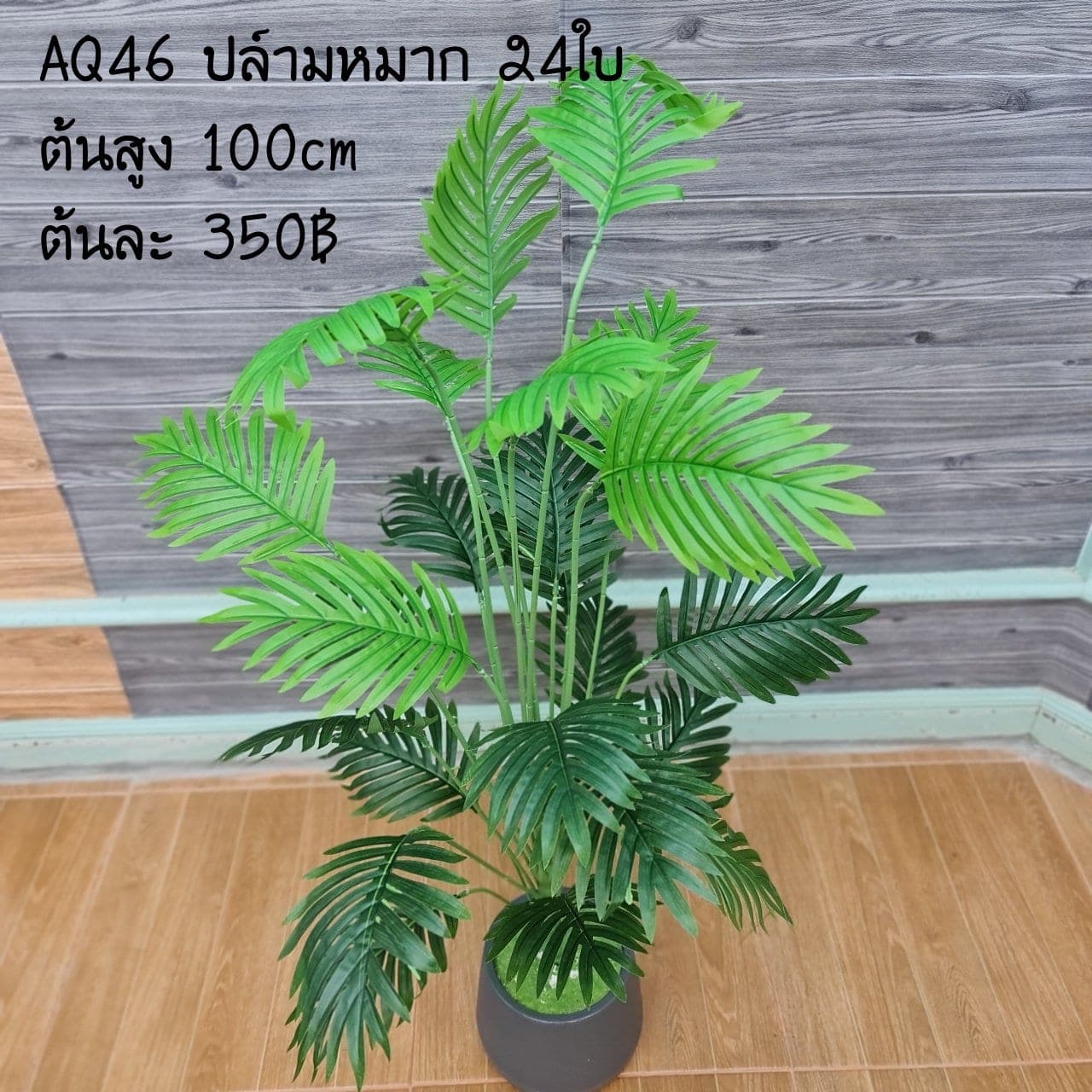 ปล์ามหมาก 24ใบ (AQ46), ใบไม้ 24 ใบ — ใบเขียวสำหรับเสริมความสมดุลและเป็นพื้นหลังให้ดอกหลัก