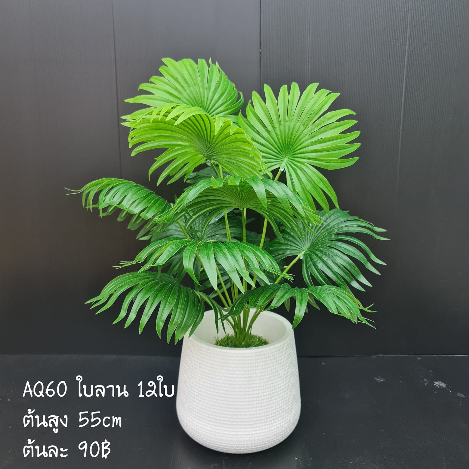 ต้นใบลาน (AQ60), ใบไม้ — ใบเขียวสำหรับเสริมความสมดุลและเป็นพื้นหลังให้ดอกหลัก