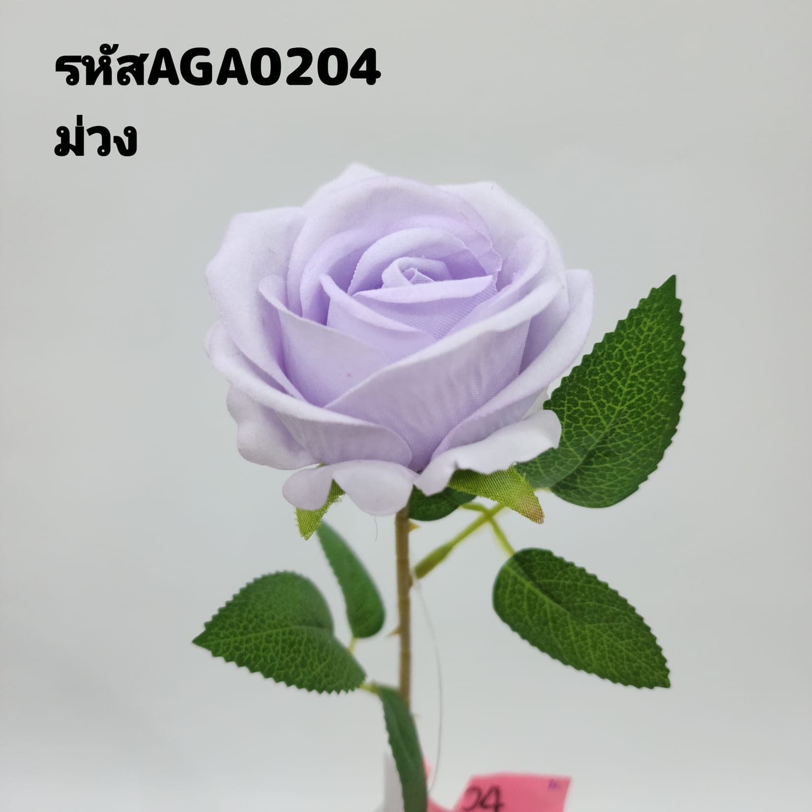 กุหลาบกำมะหยี่เดี่ยว (AGA02), A single-stem rose — graduated petal tones running from a deep heart to a softer edge.