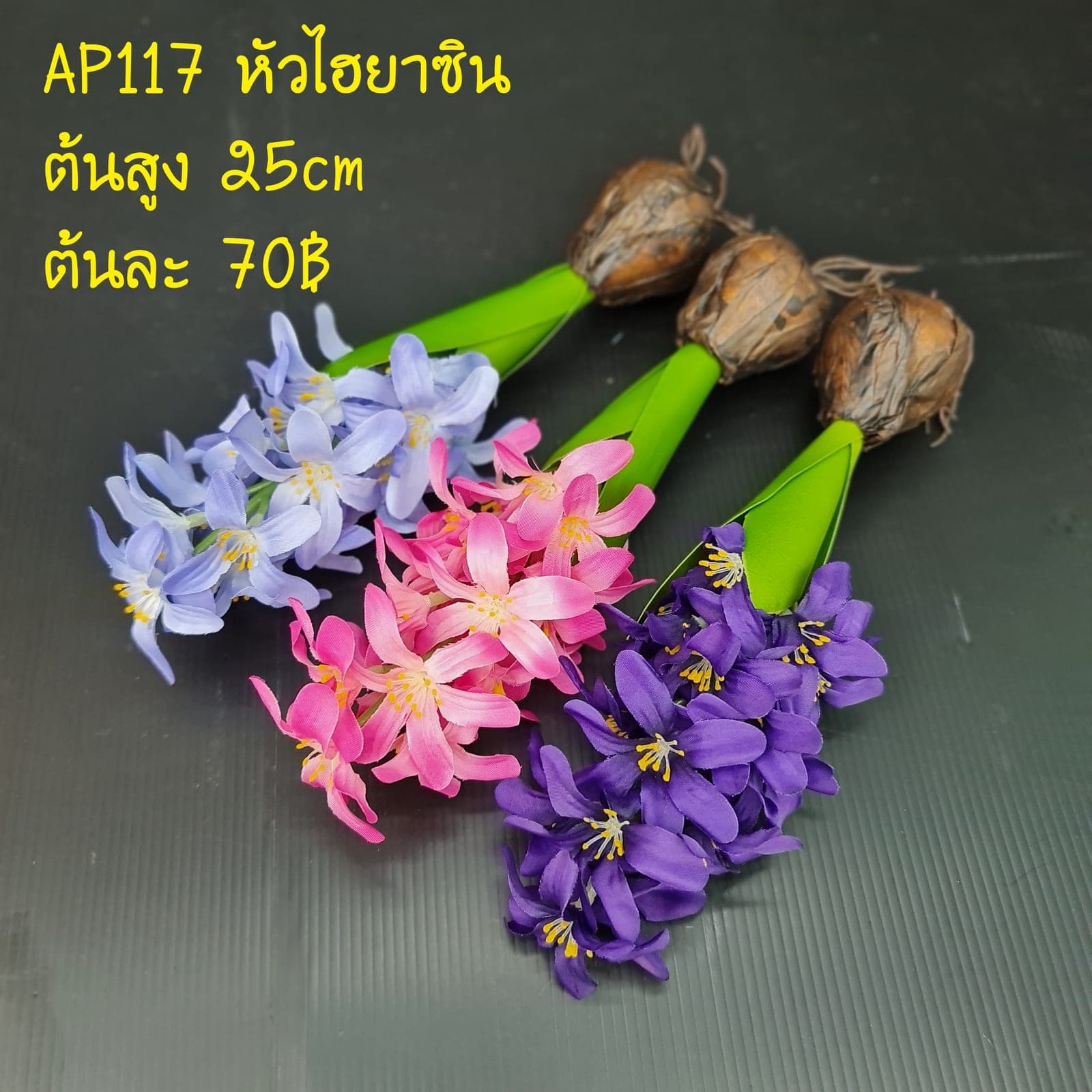 หัวไฮยาซิน (AP117), Hyacinth — a fleshy stem packed with starry florets in a single column.