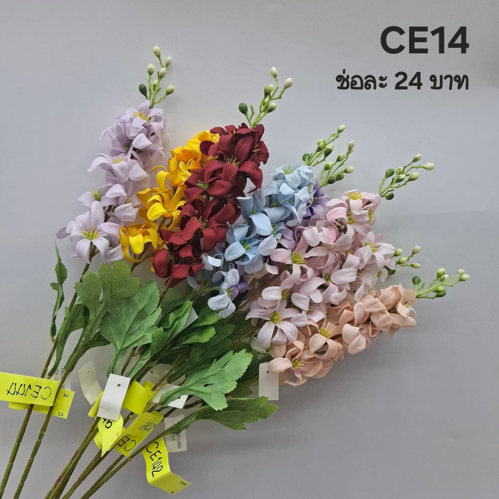 ไฮยาซินเดี่ยว (CE14), ก้านเดี่ยวไฮยาซินธ์ — ก้านอวบและดอกเล็กเรียงรอบ ให้พื้นผิวอวบฉ่ำ