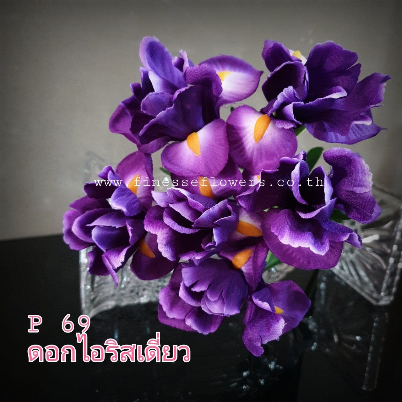 ไอริสเดี่ยว (P-69), ก้านเดี่ยวไอริส — กลีบเปิดเป็นปีกและก้านสูง ให้เส้นสายเฉียบคม