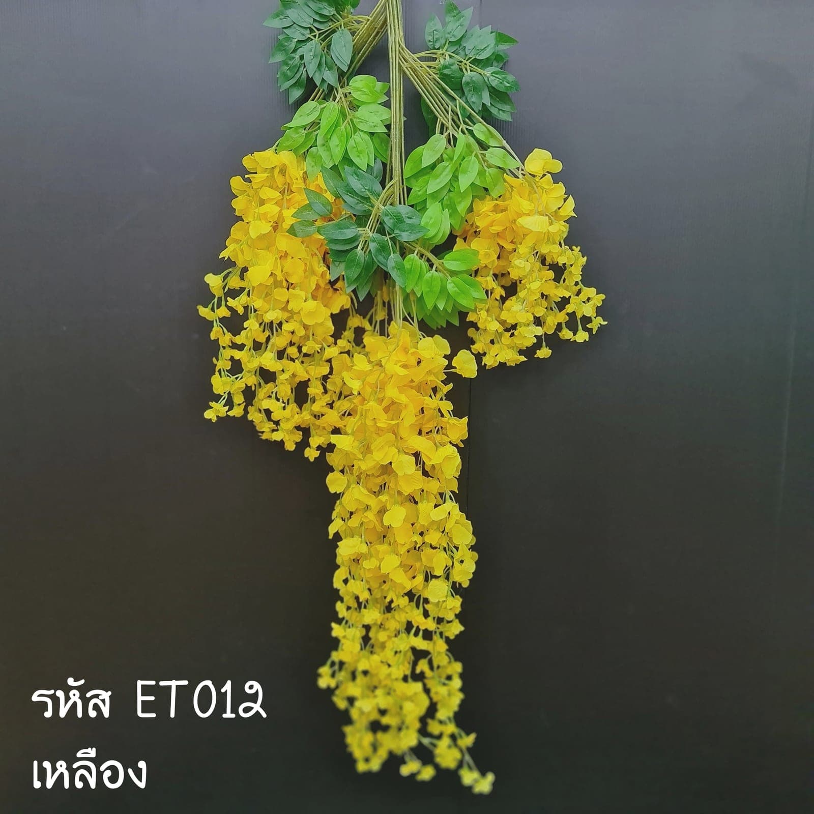 ดอกถั่ว (ET1), ก้านดอกประติมากรรม — ก้านยาวฟอร์มชัด ใช้เป็นจุดเด่นได้ในแจกันสูง