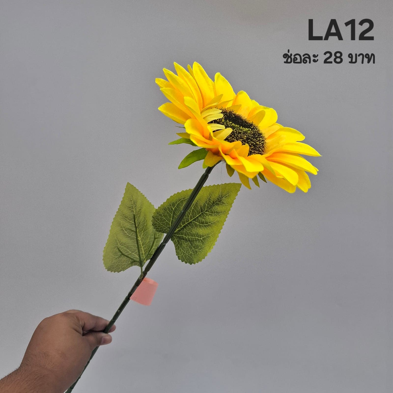 ทานตะวันเดี่ยว (LA12-13), ก้านเดี่ยวทานตะวัน — จานเมล็ดเข้ม กลีบสีทองชัด ให้น้ำหนักเป็นจุดเด่น