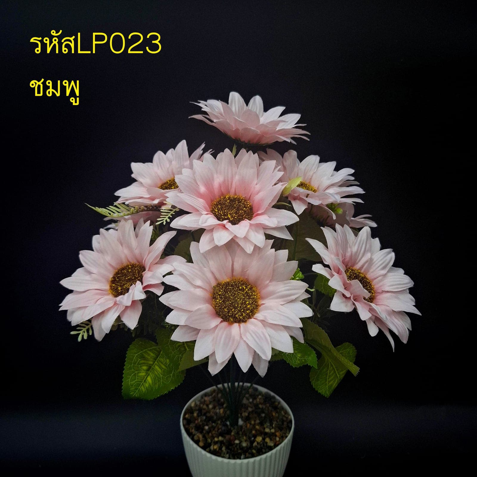 ทานตะวัน 9ดอก (LP02), Sunflower (9 blooms) — golden petals fanning out from a deep, brooding centre.
