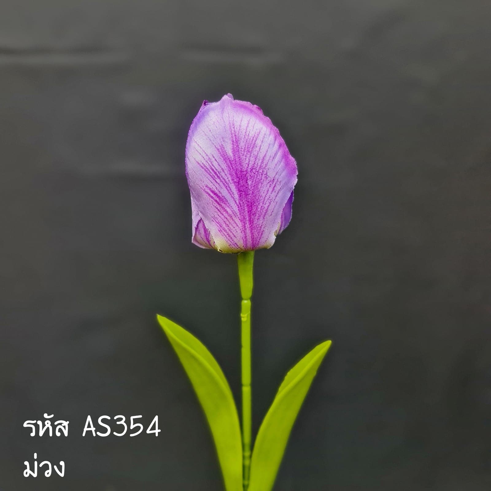 ทิวลิปเดี่ยว (AS35), A single-stem tulip — cupped petals on lithe stems that move with an organic rhythm.