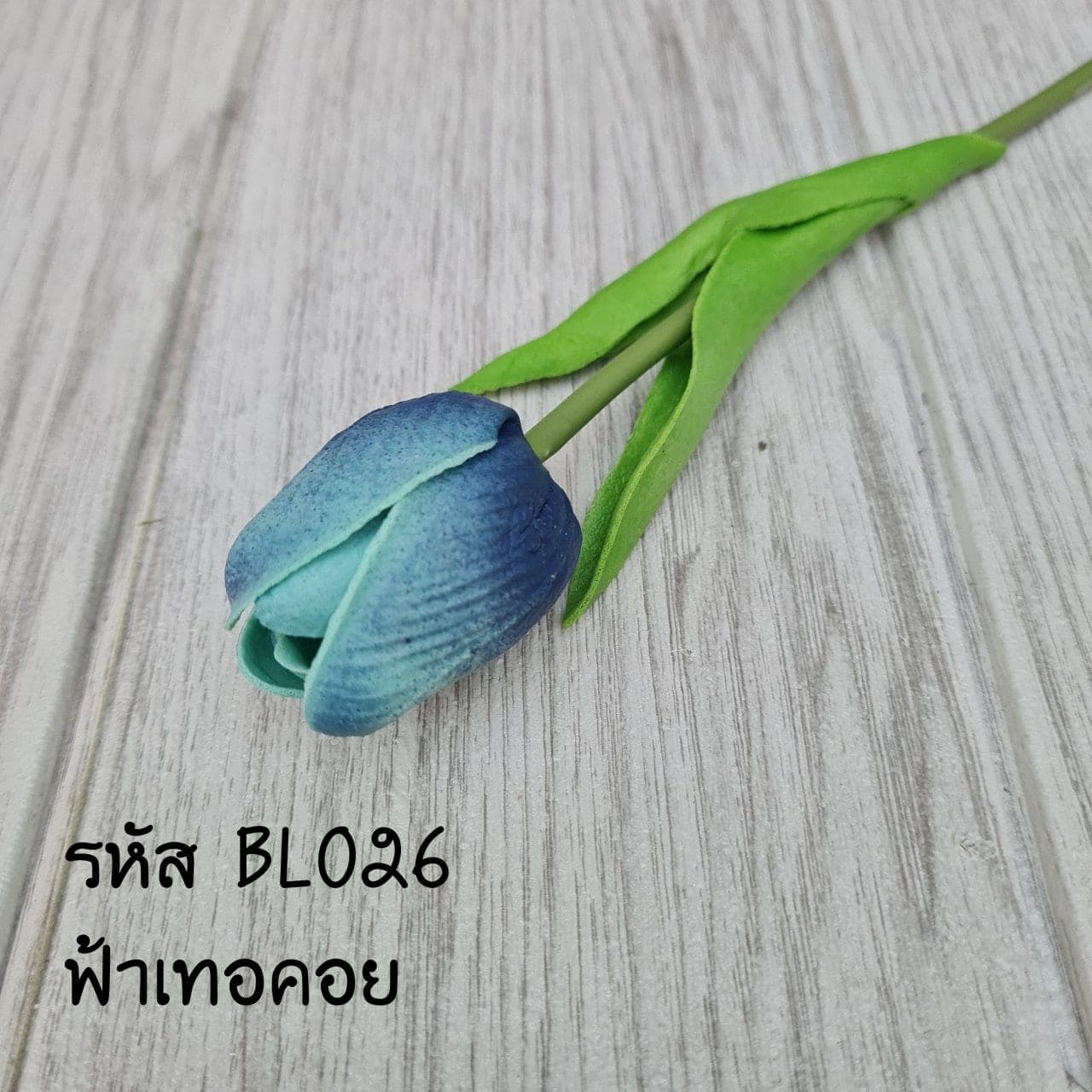 ทิวลิป (BL2), ทิวลิป — กลีบทรงถ้วยและก้านโค้งให้จังหวะออร์แกนิก