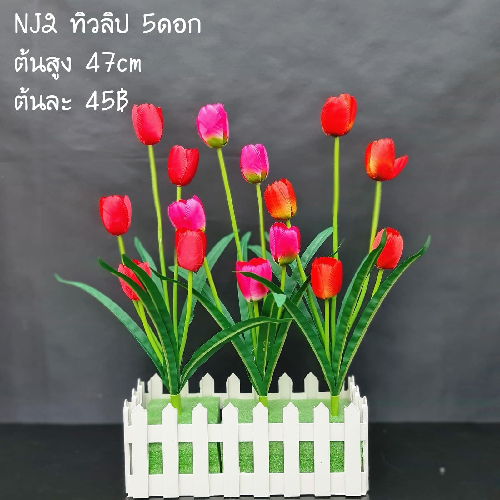 ทิวลิป (NJ2), ทิวลิป — ดอกเด็คโคหยดน้ำ ก้านเขียวสด ให้ฟอร์มเรียบสะอาด